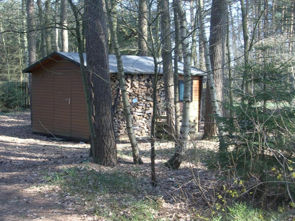 Ferienhaus Angret Winkel