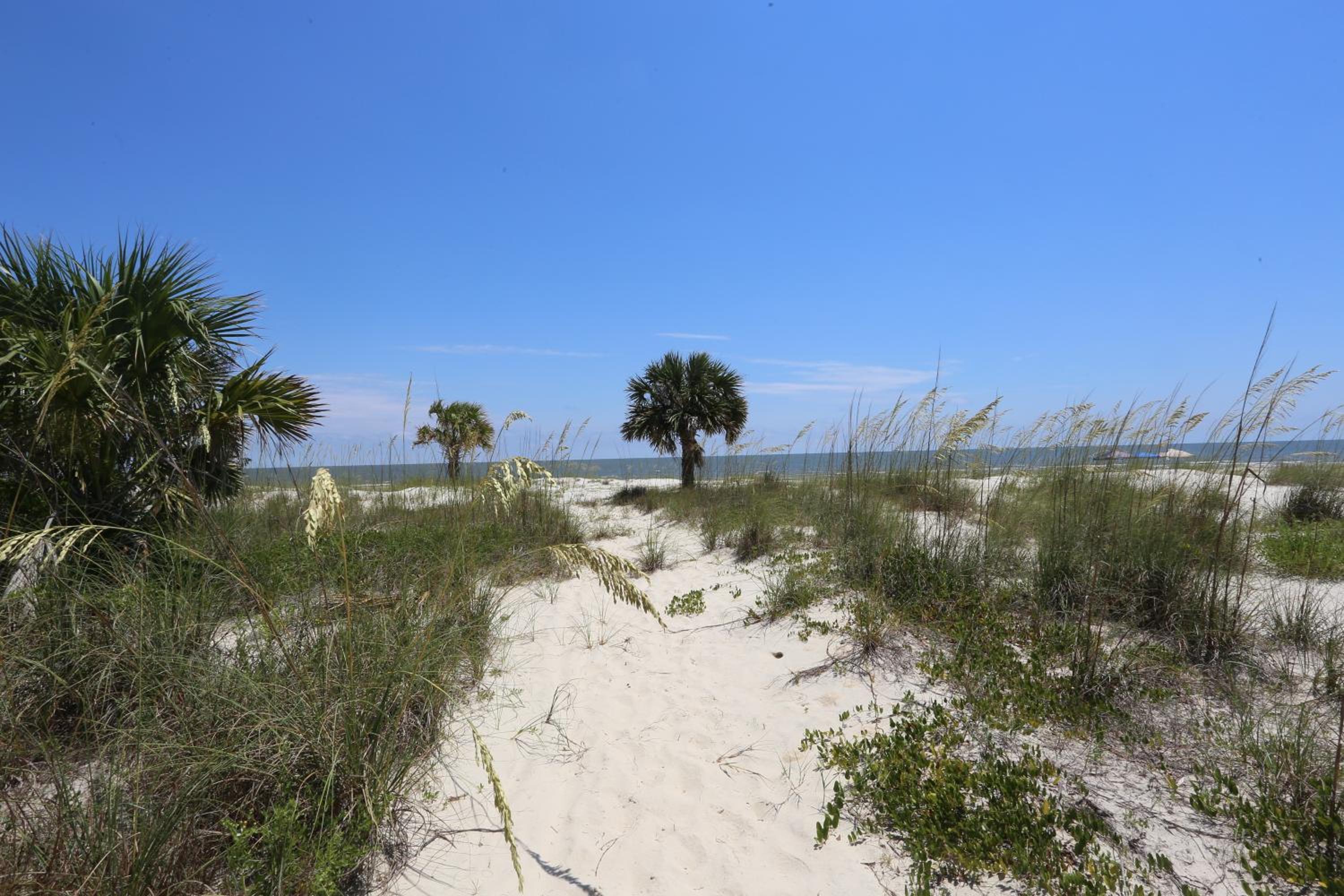 Camp Palms @ Indian Pass by Pristine Properties Vacation Rentals