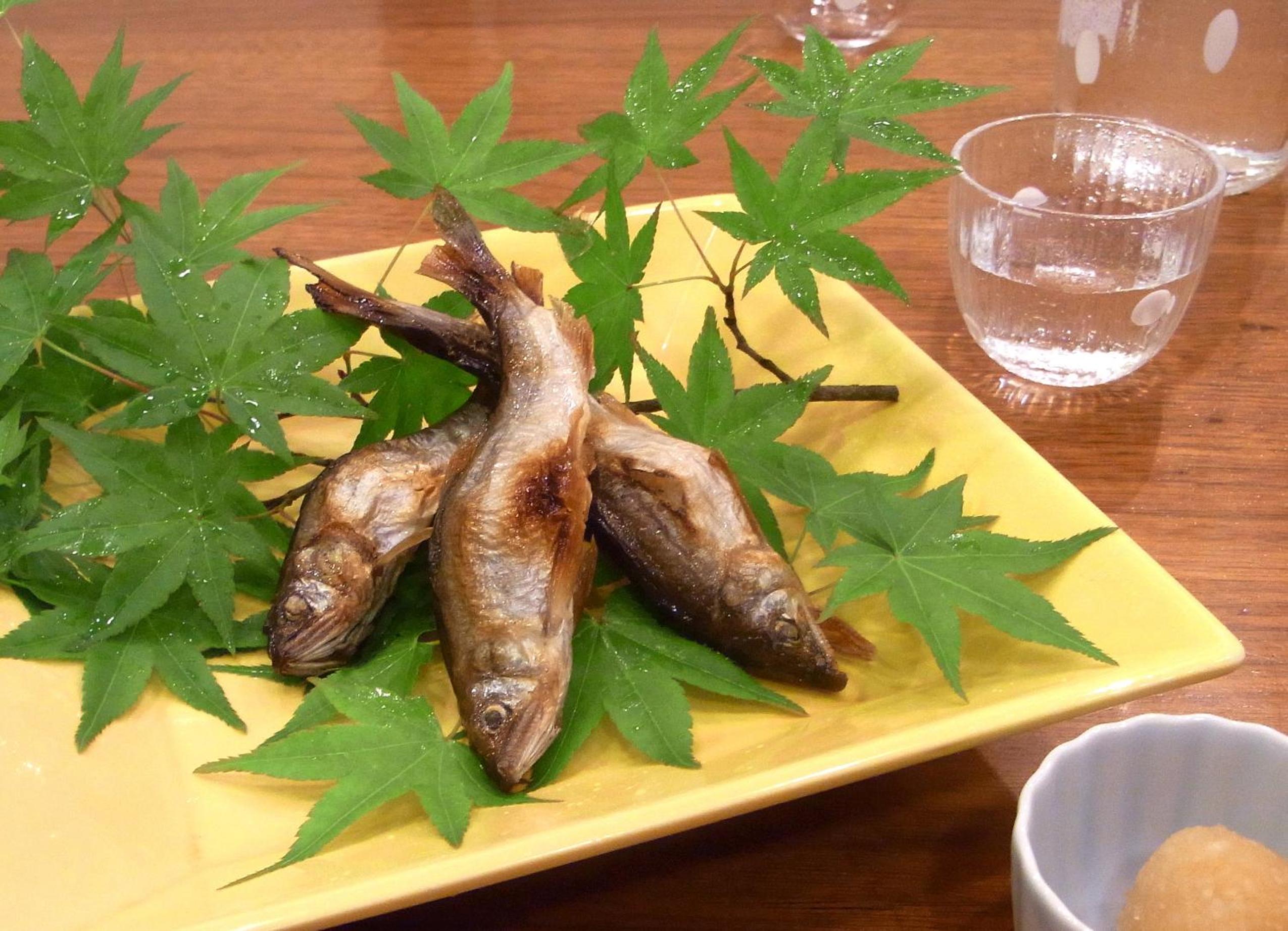 Ryokan Sumiya Kihoan