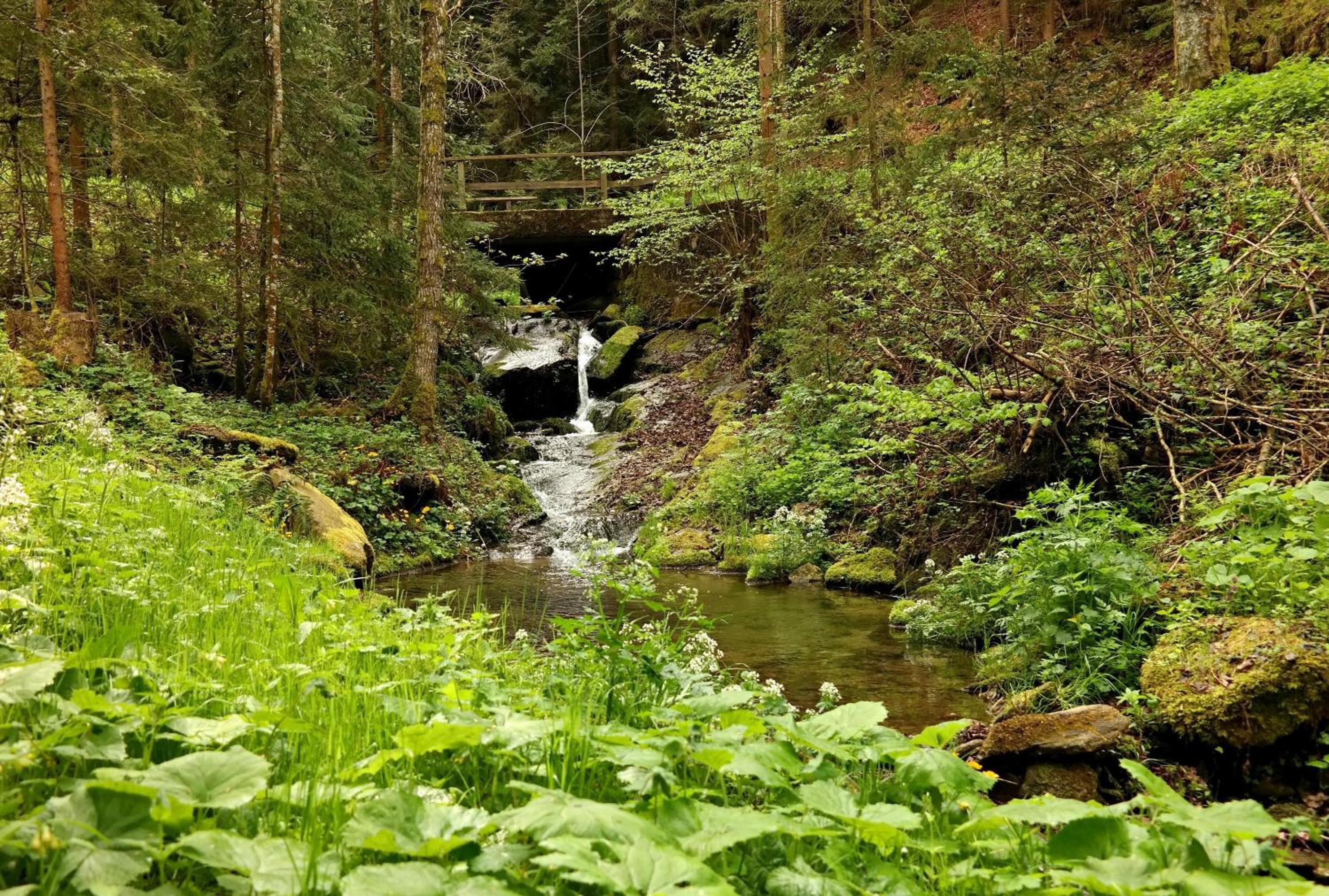 Ferienwohnungen Raczkowski