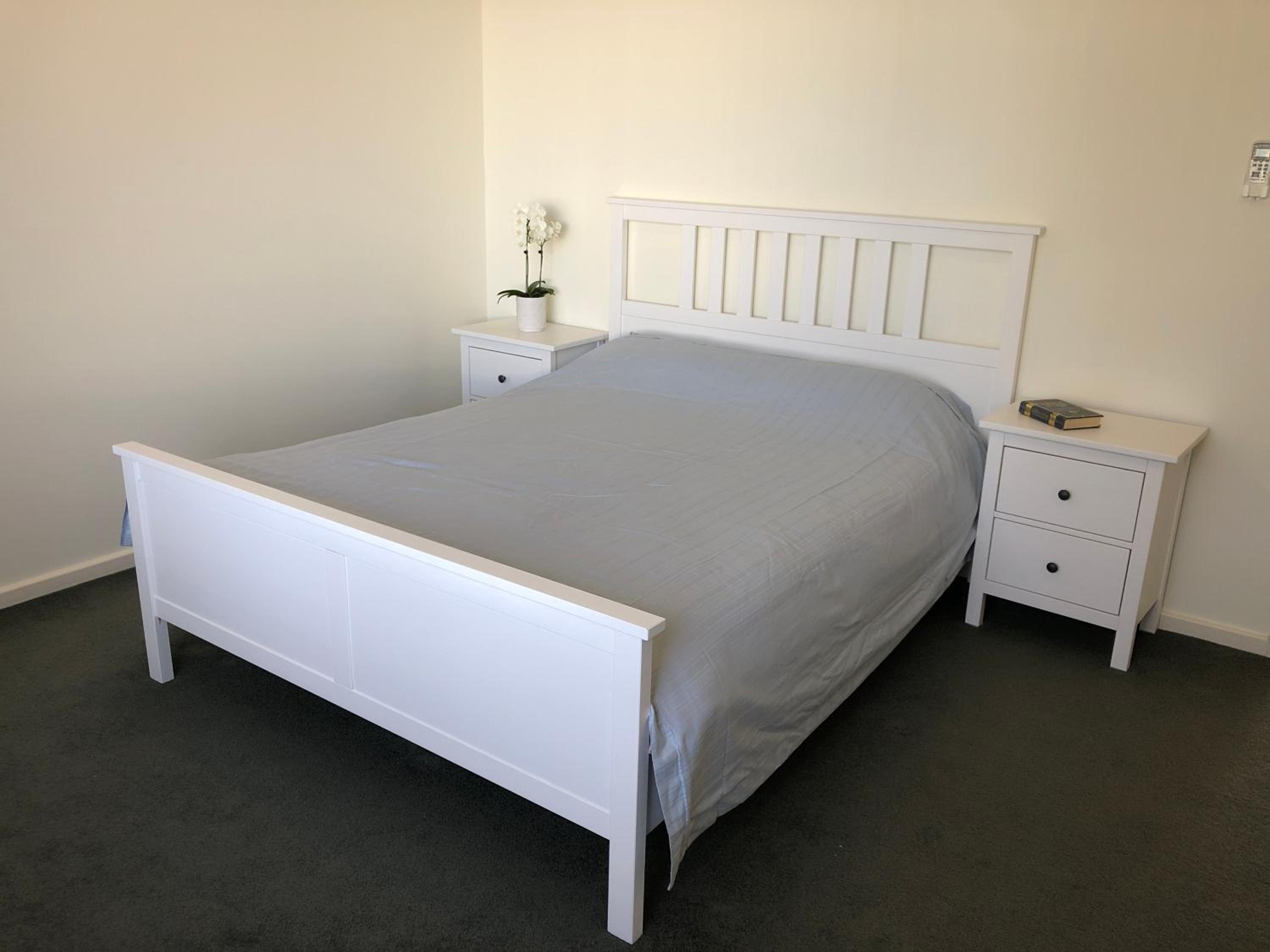 Sand Dunes Experience - Pet Friendly