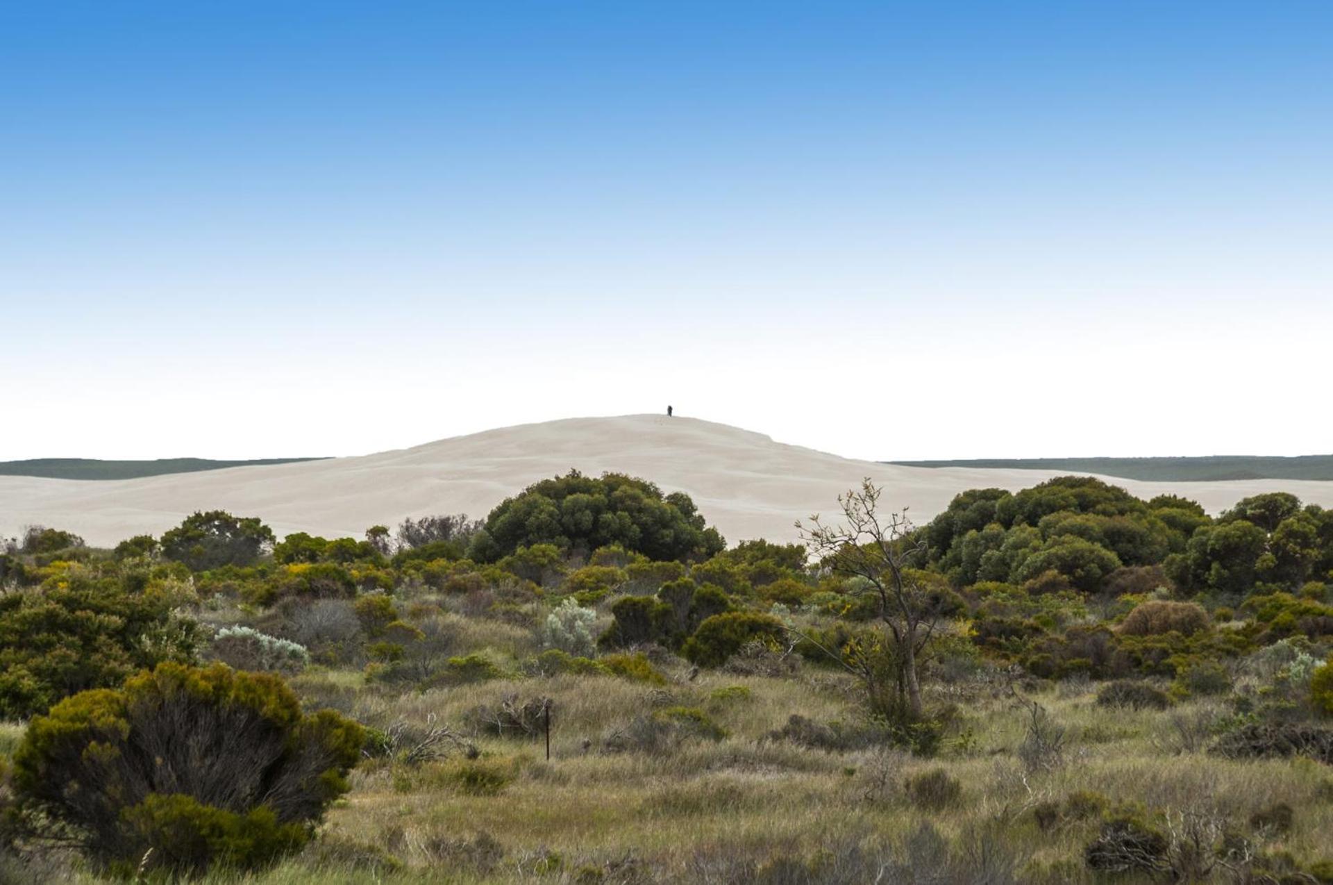 Sand Dunes Experience - Pet Friendly