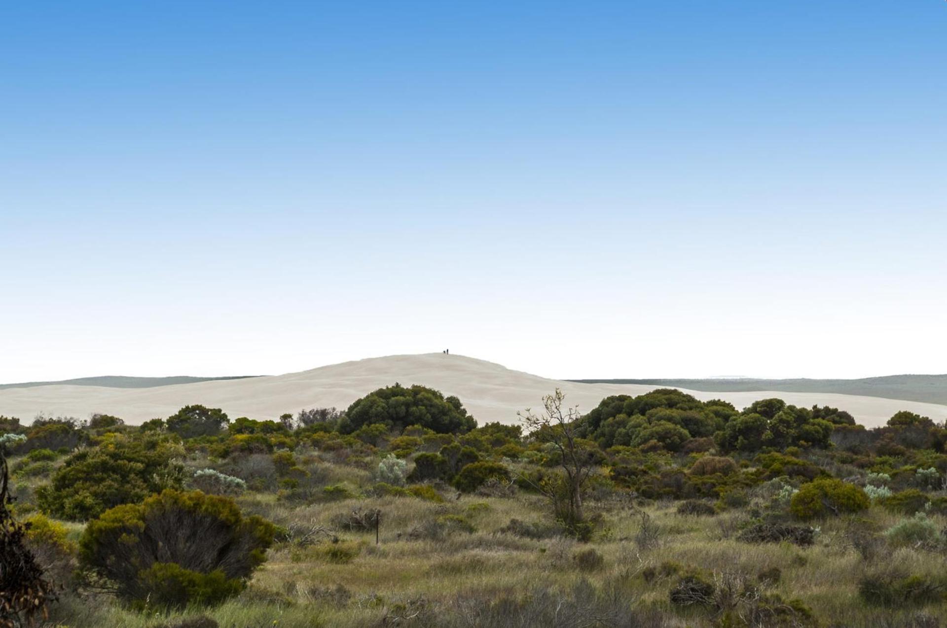 Sand Dunes Experience - Pet Friendly