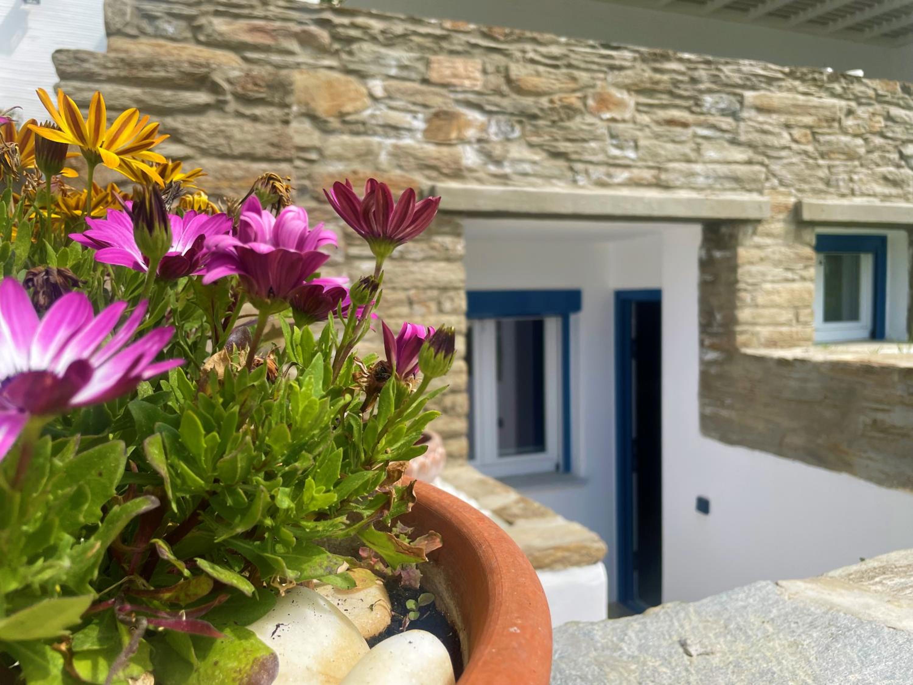 Amarienitas Suites photo 5