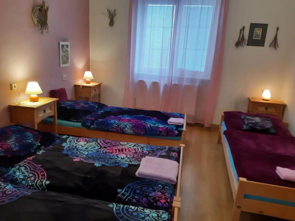 U paní malířky