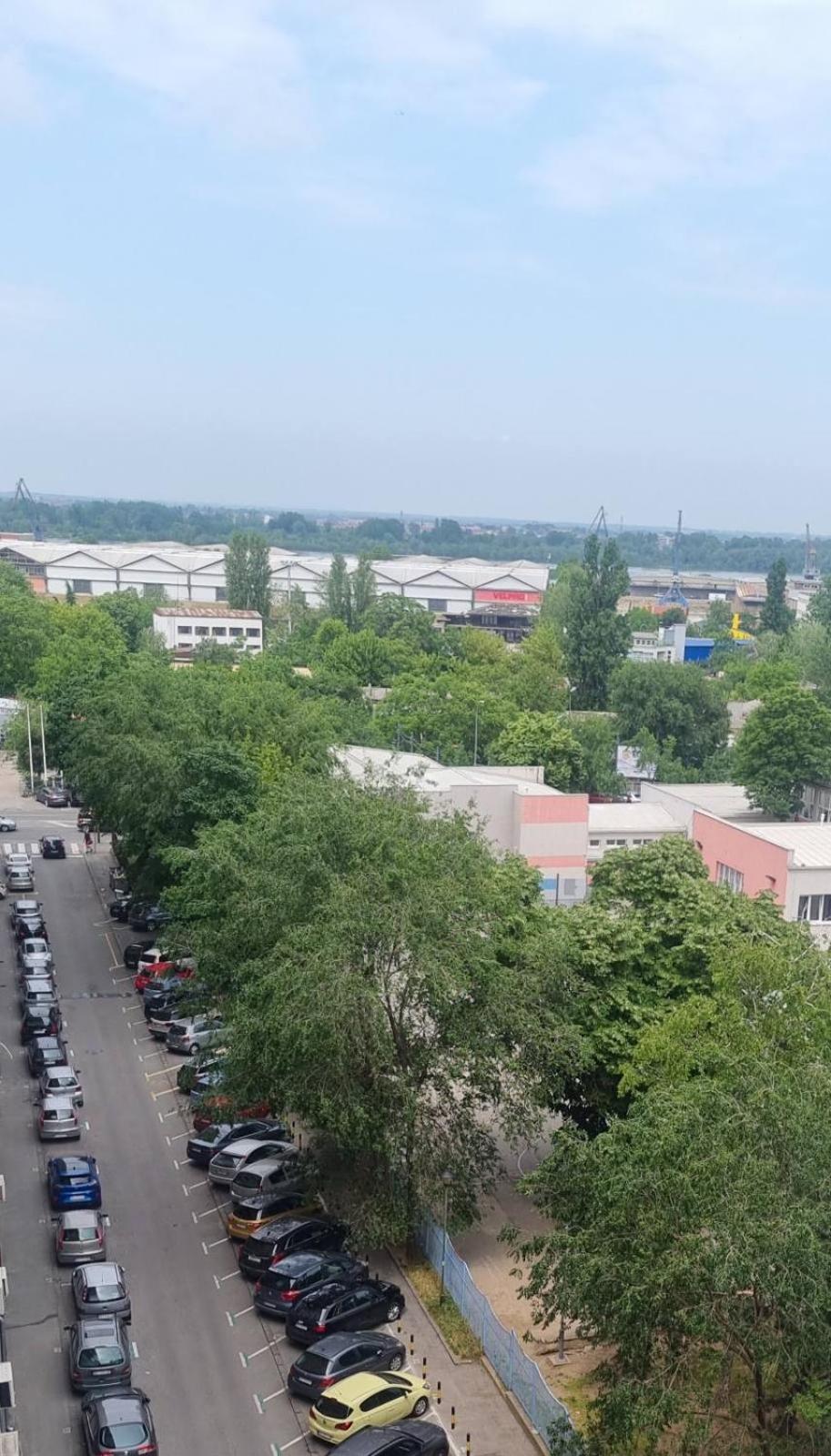 Apartment Dorcol Belgrade