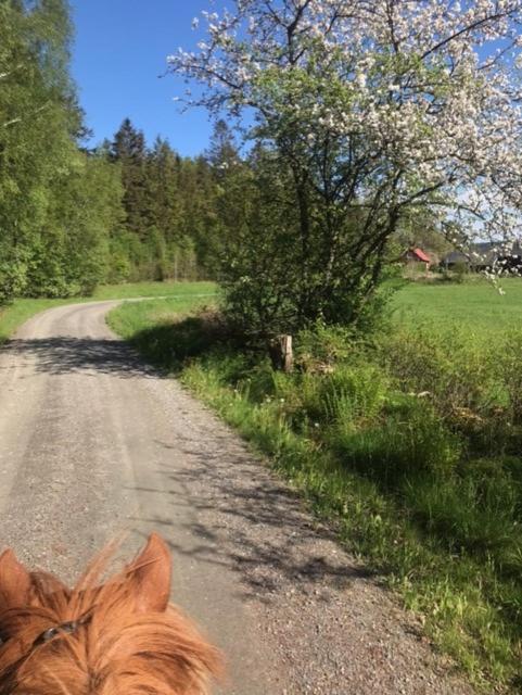 Stenlid - Med naturen och lugnet i fokus view 3