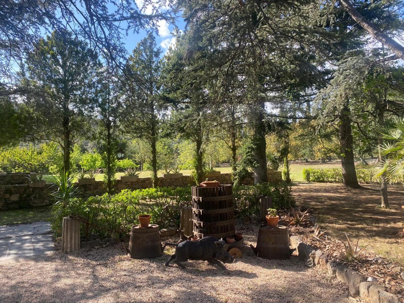 Masia Mimosa Montaña