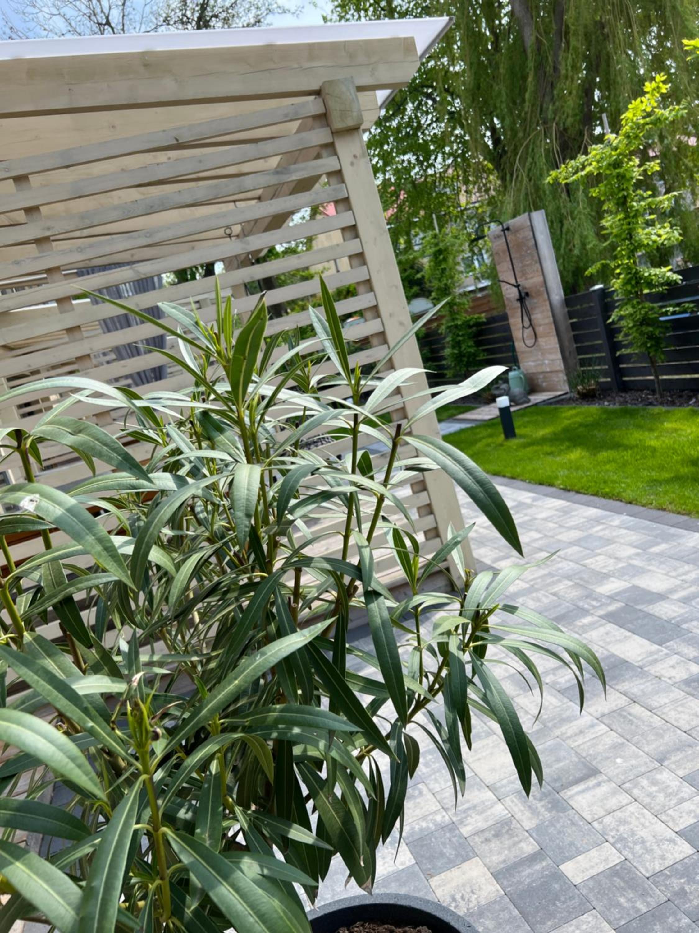 Apartamenty Naturapart view 5