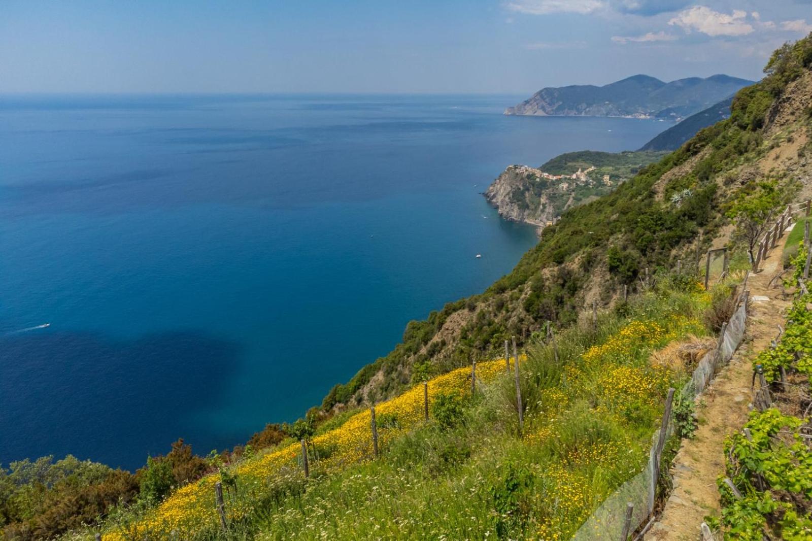 Orizzonte Damare