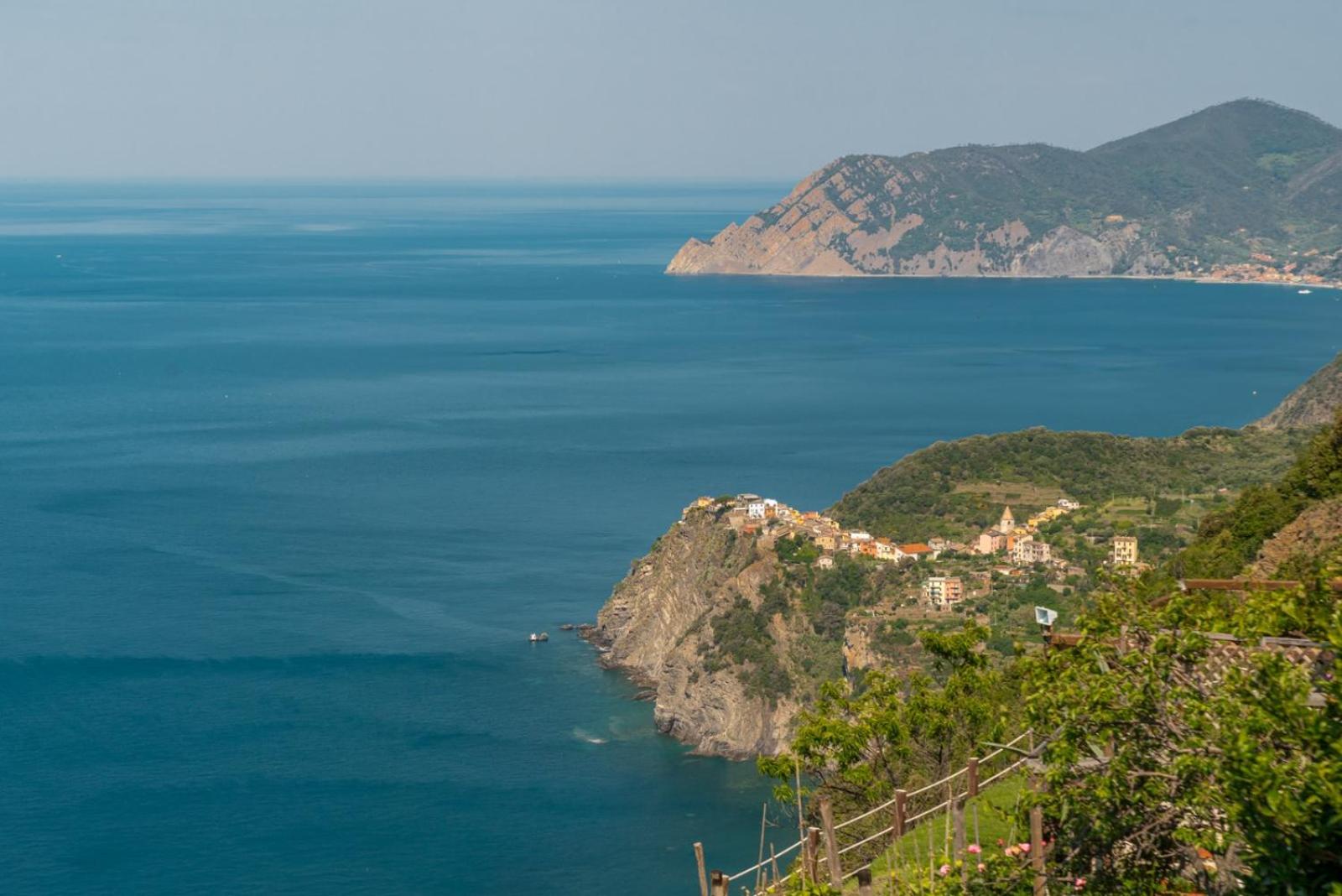 Orizzonte Damare