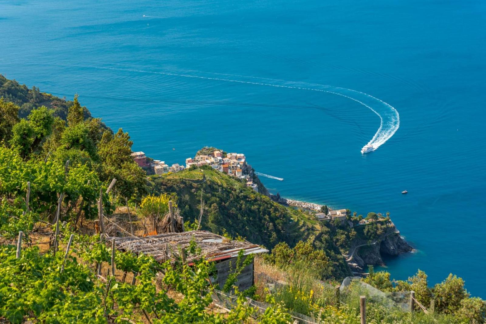 Orizzonte Damare