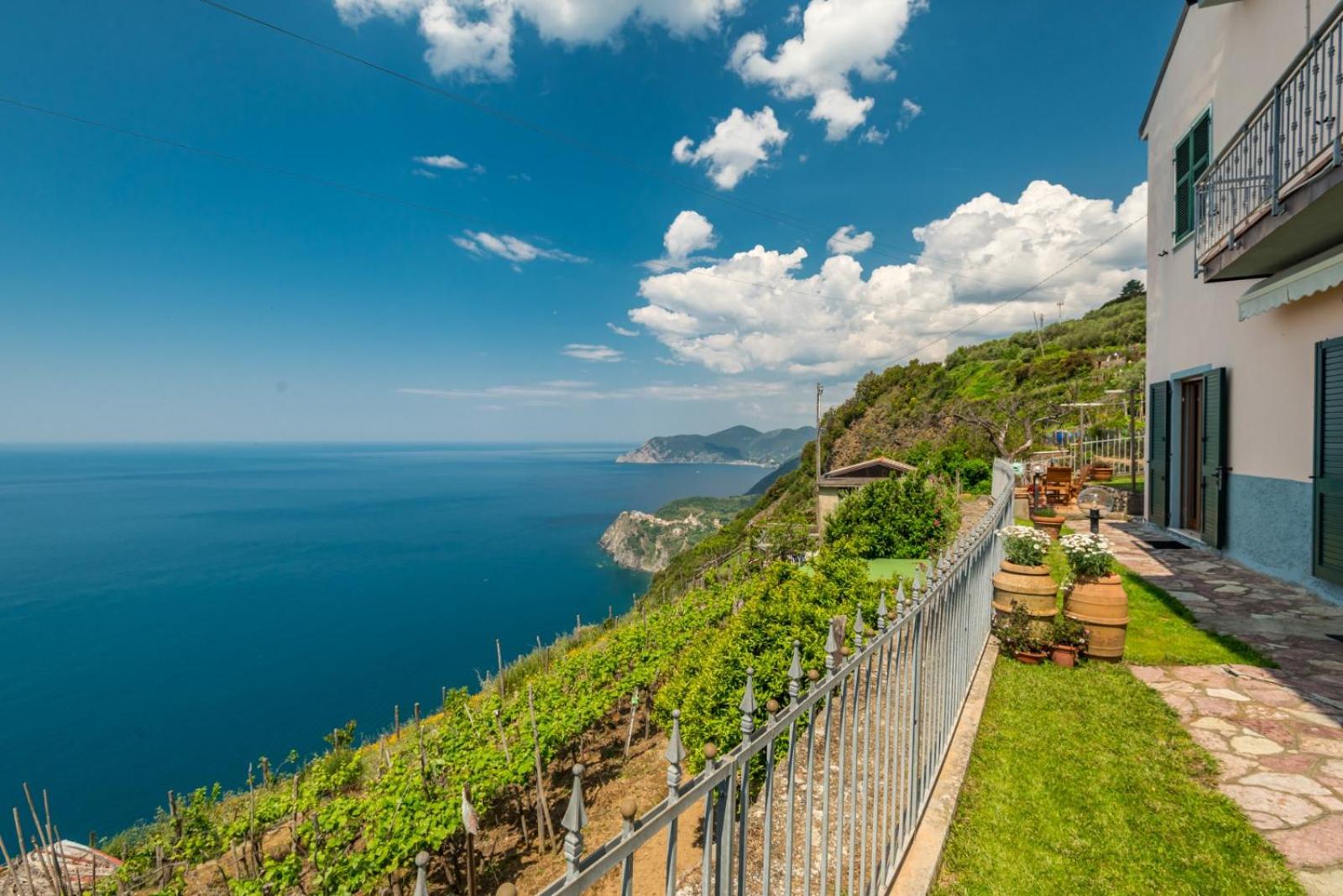 Orizzonte Damare