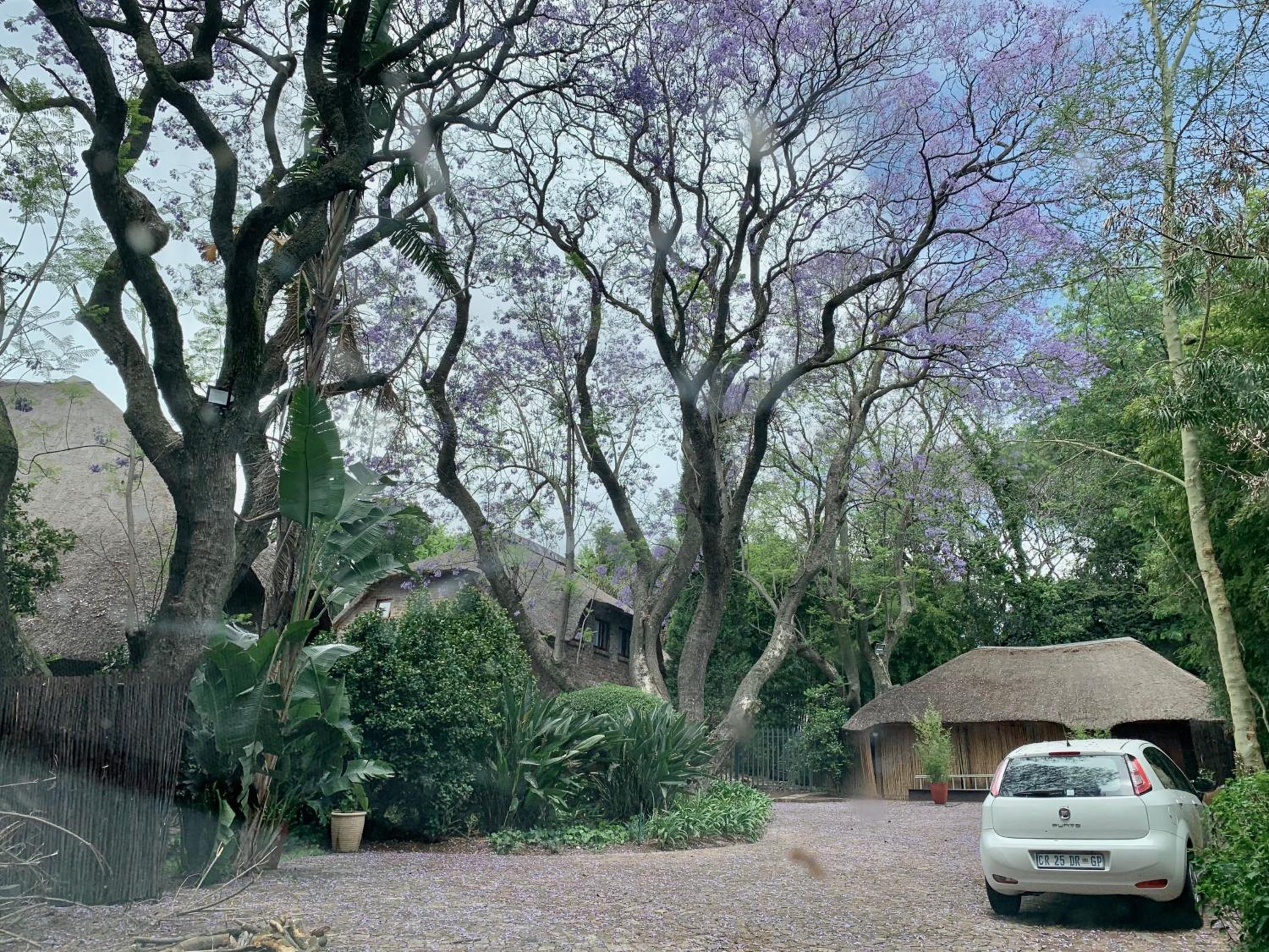 Shepherd Lodge