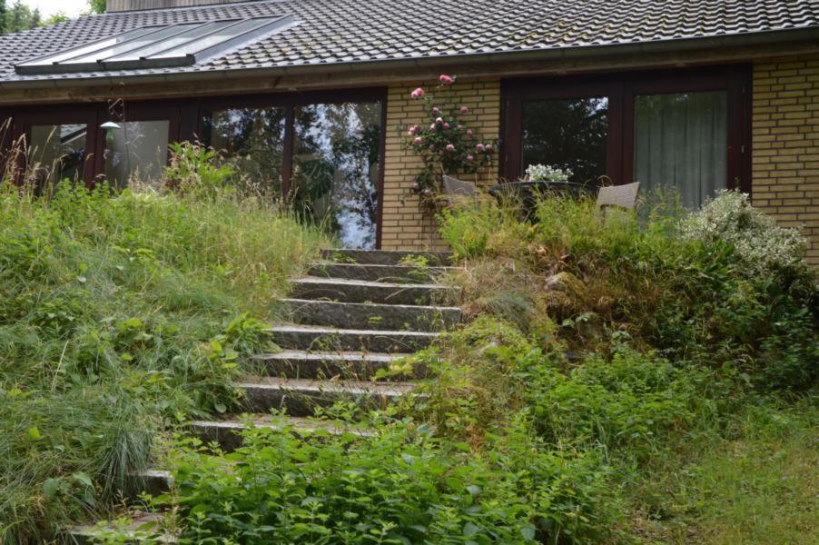 Ferienwohnung am See in Soderstorf
