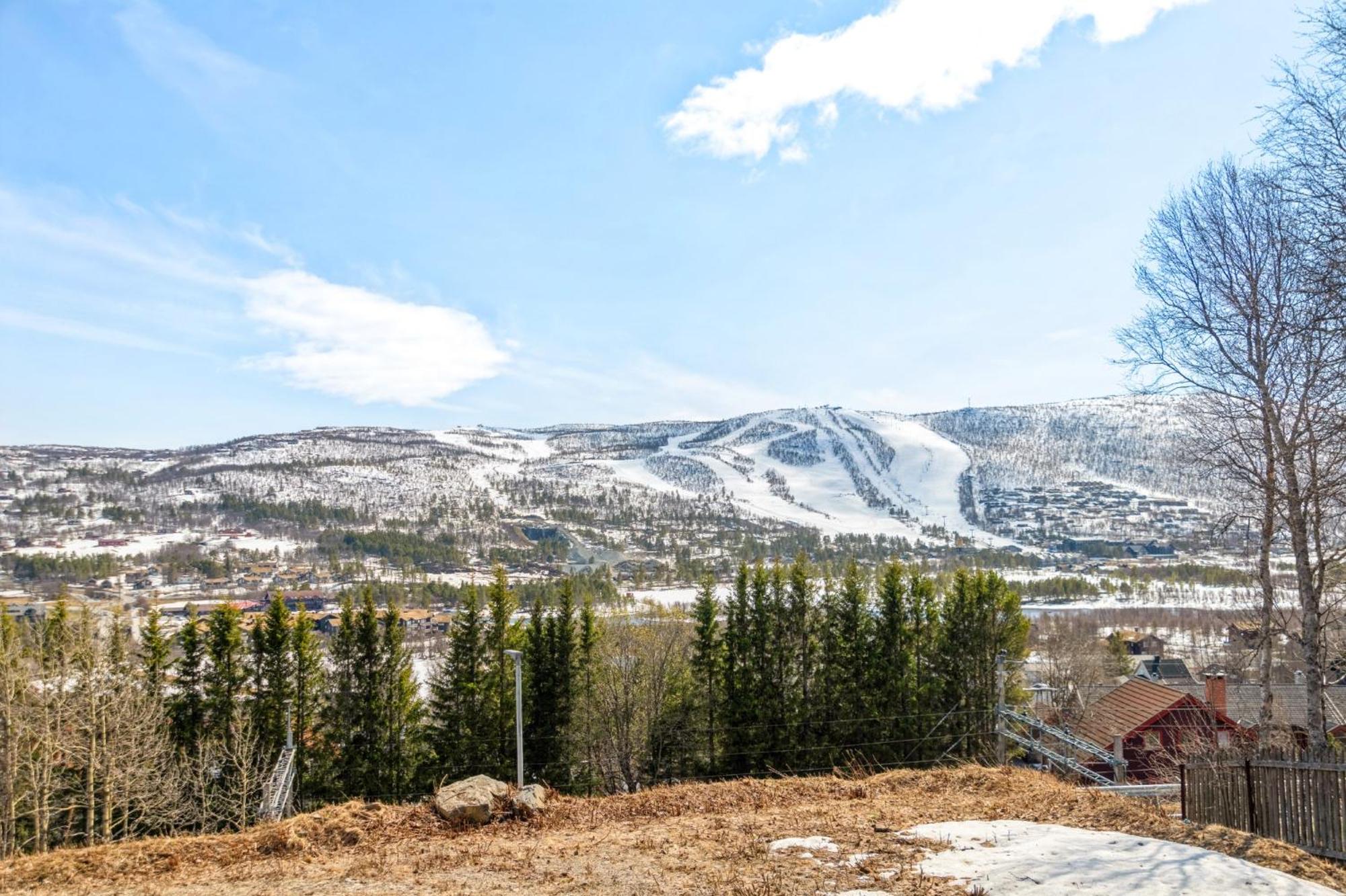 Solsiden - in the center of Geilo view 3