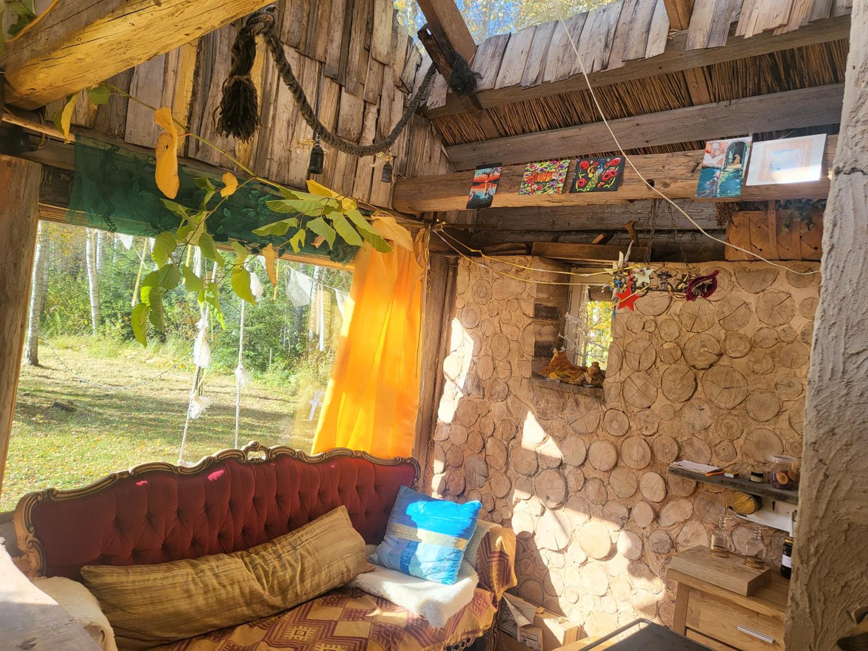 Photo 6