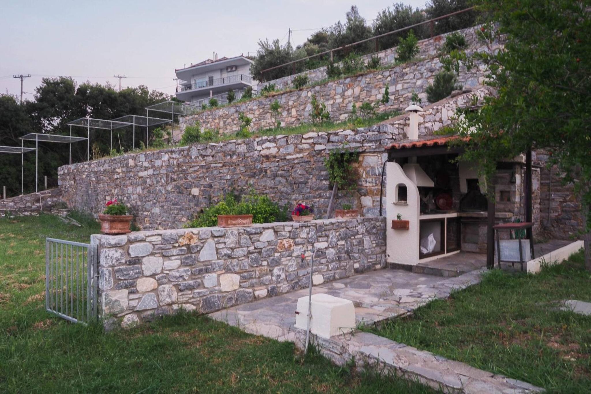 Photo 45