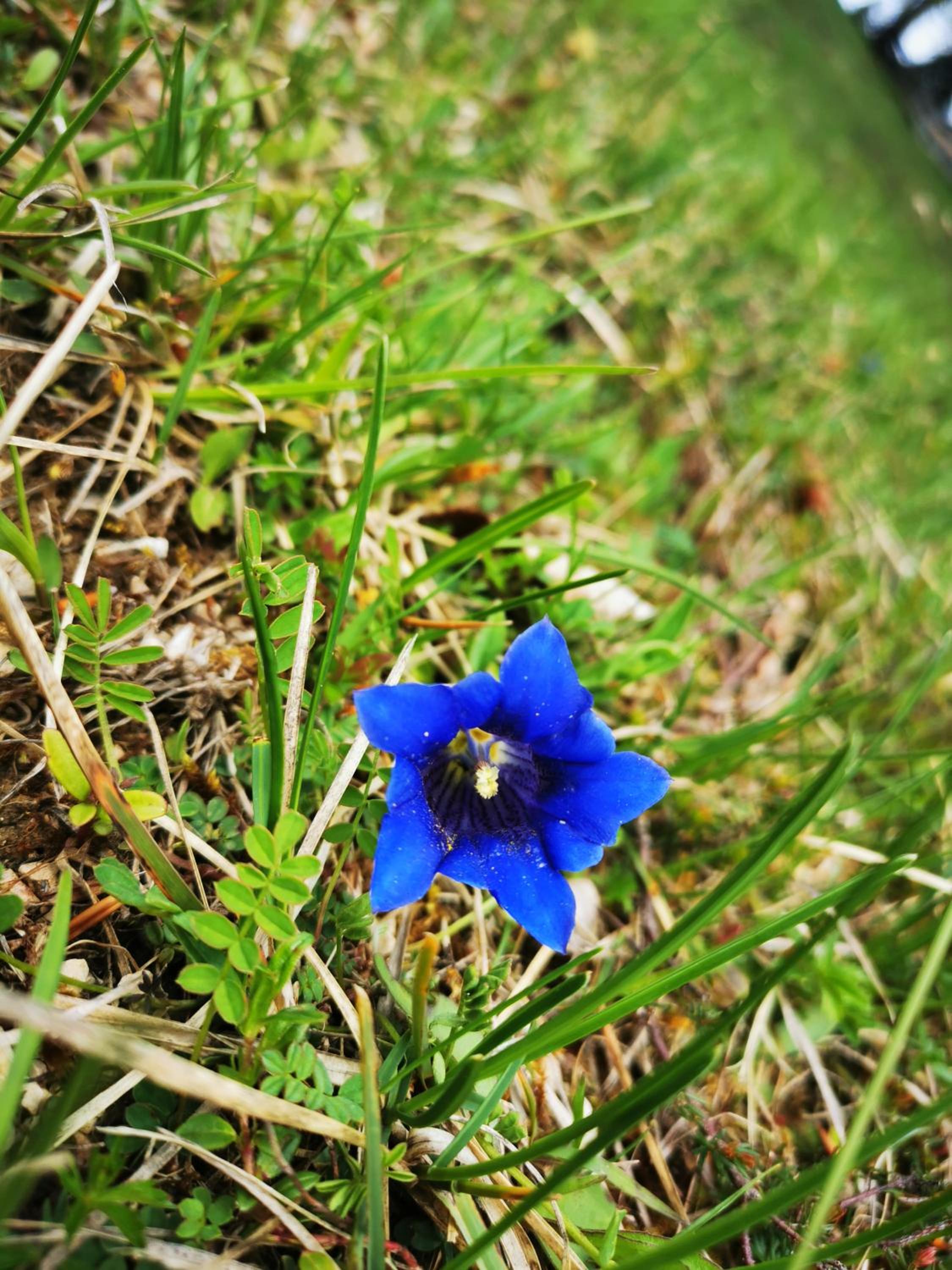 Photo 40