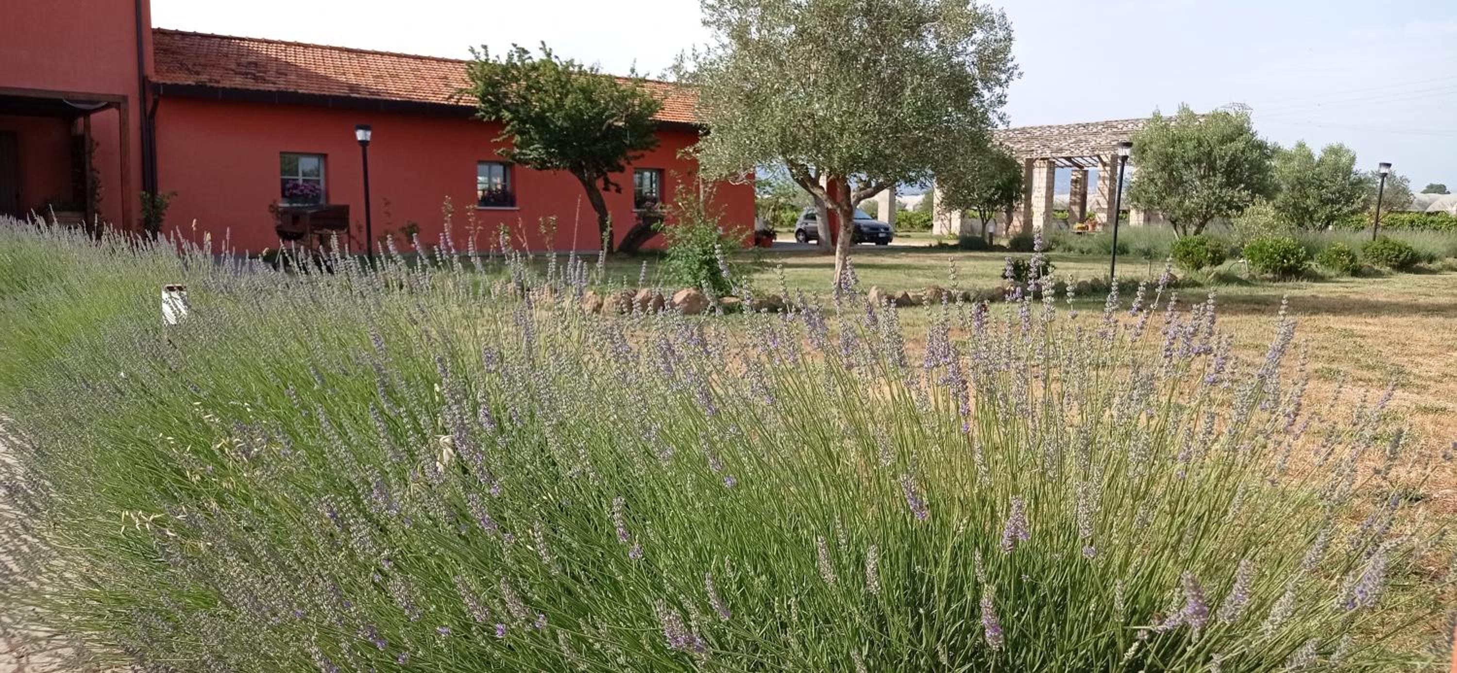 Il Casale di Giulia di Aprilia view 4