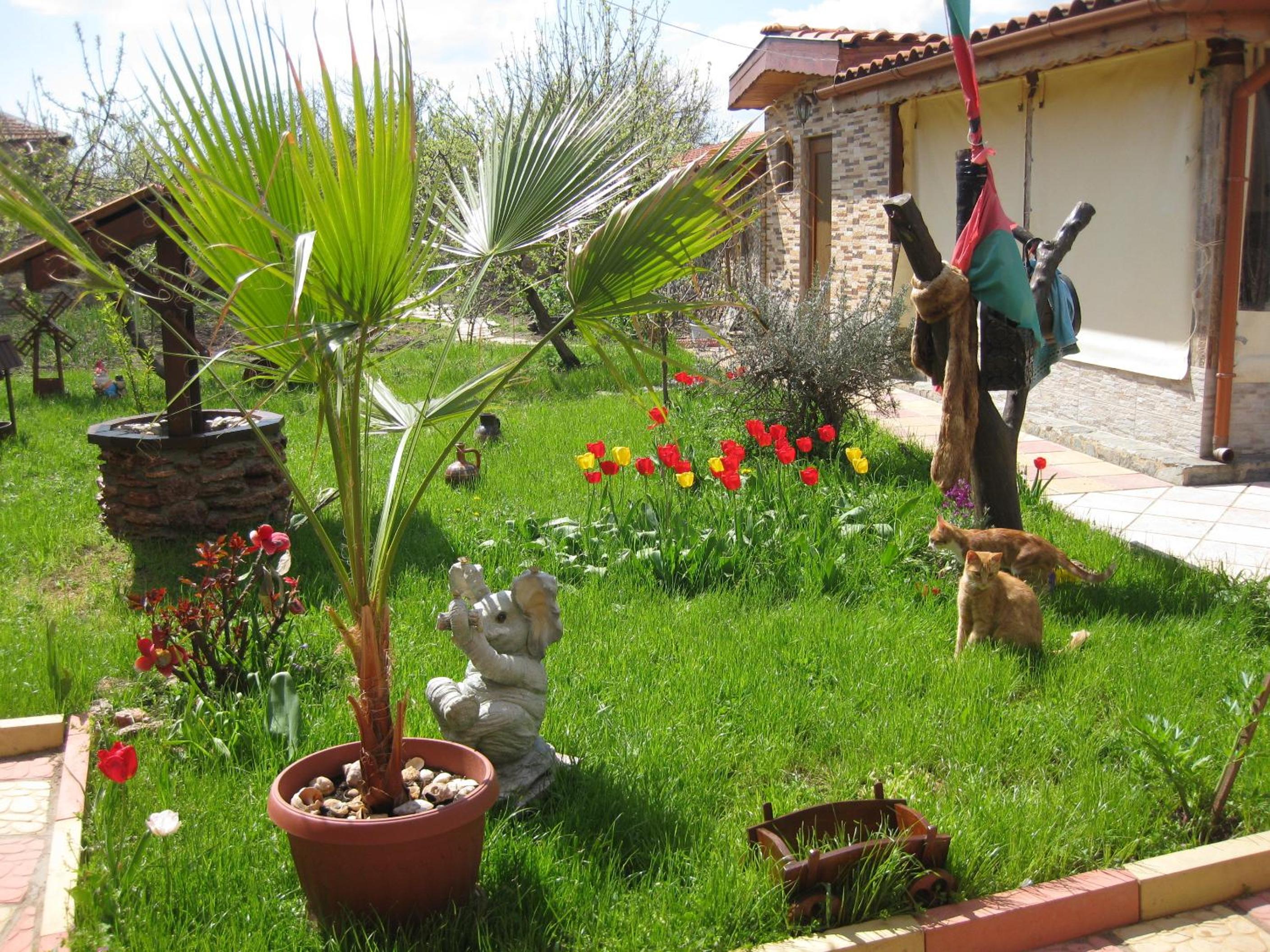 Albena Guest House