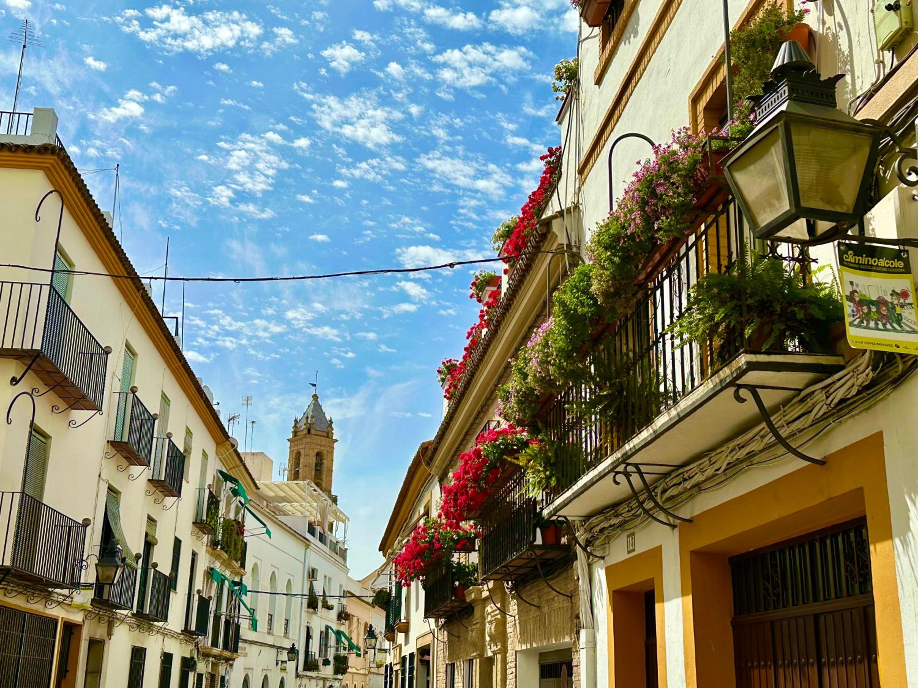 Casa Rom