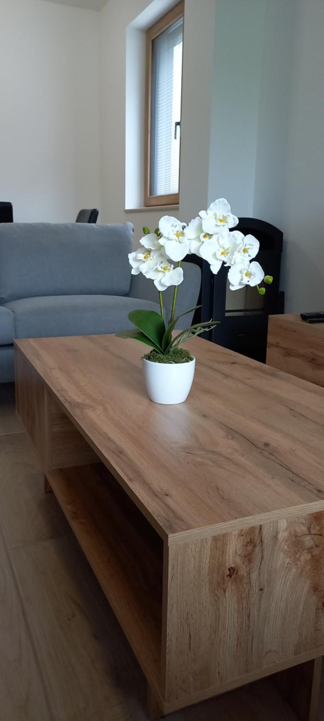 Apartment near Ljubljana, Sleeps 8, Free Parking view 5