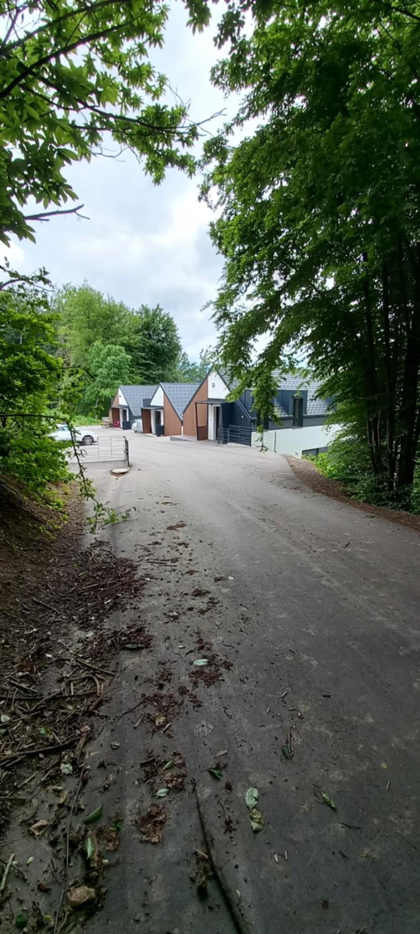 Photo 61