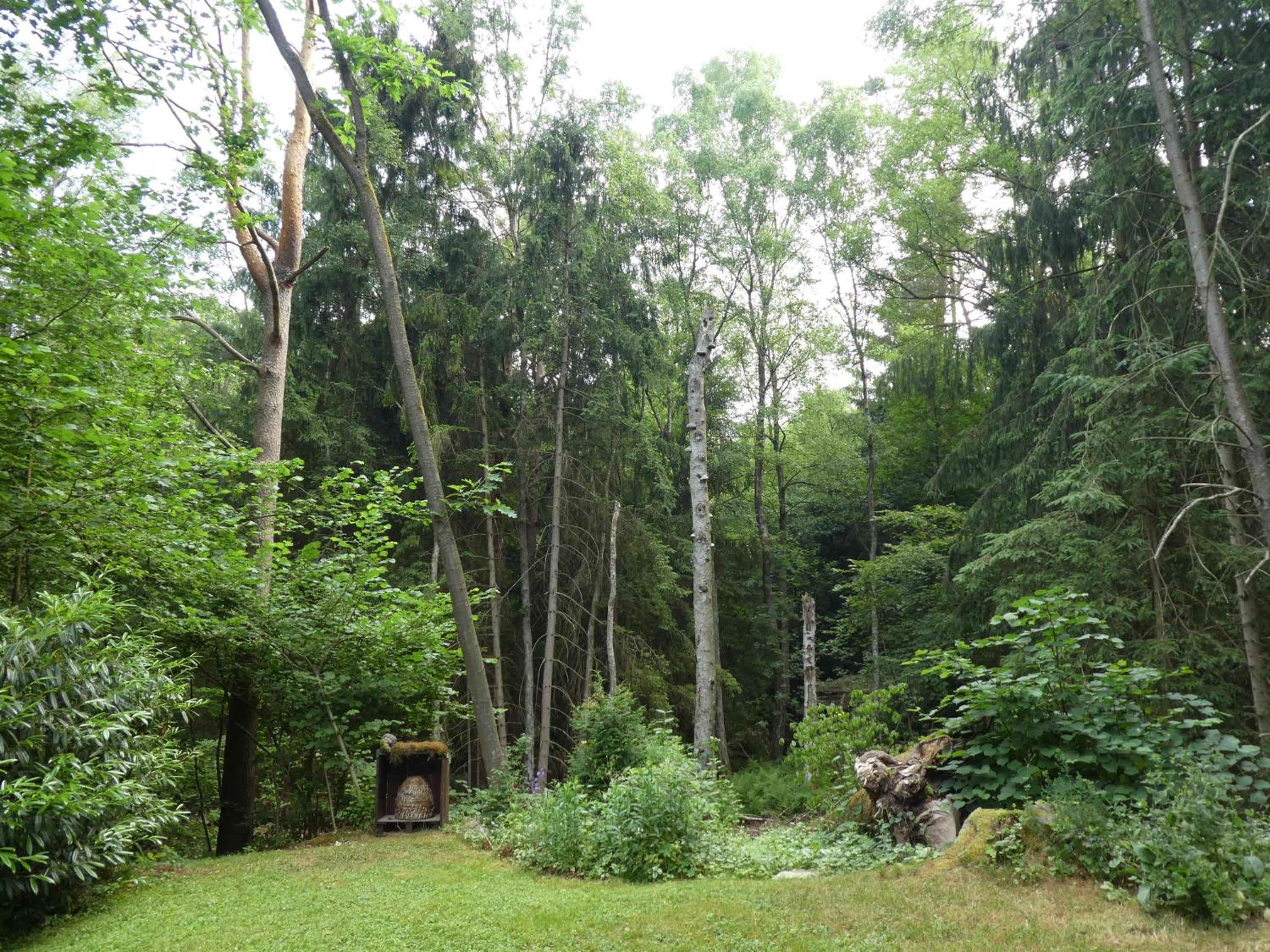 Ferienwohnung Niemann in Lutterloh - Property Image 11