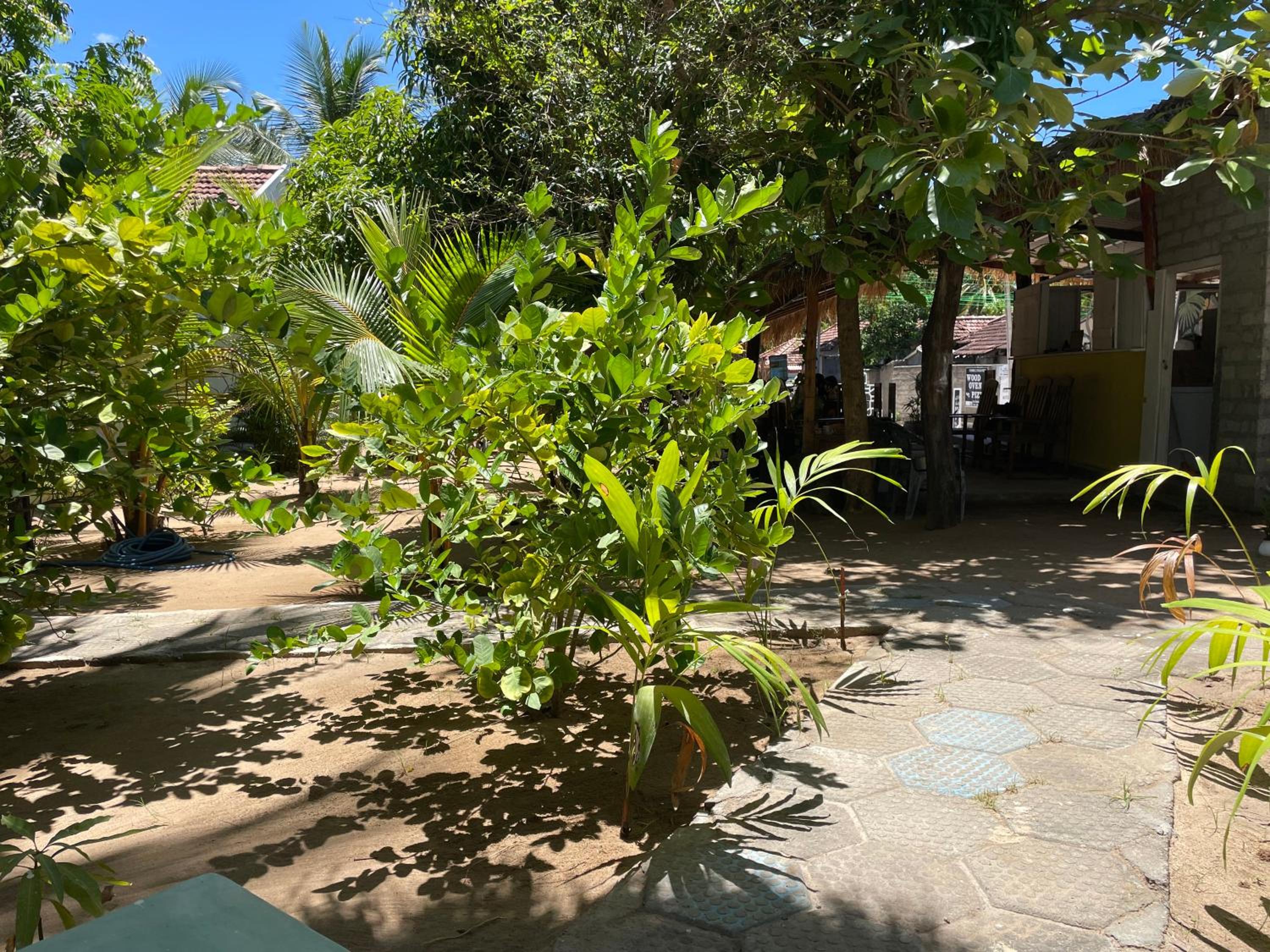 Photo 18