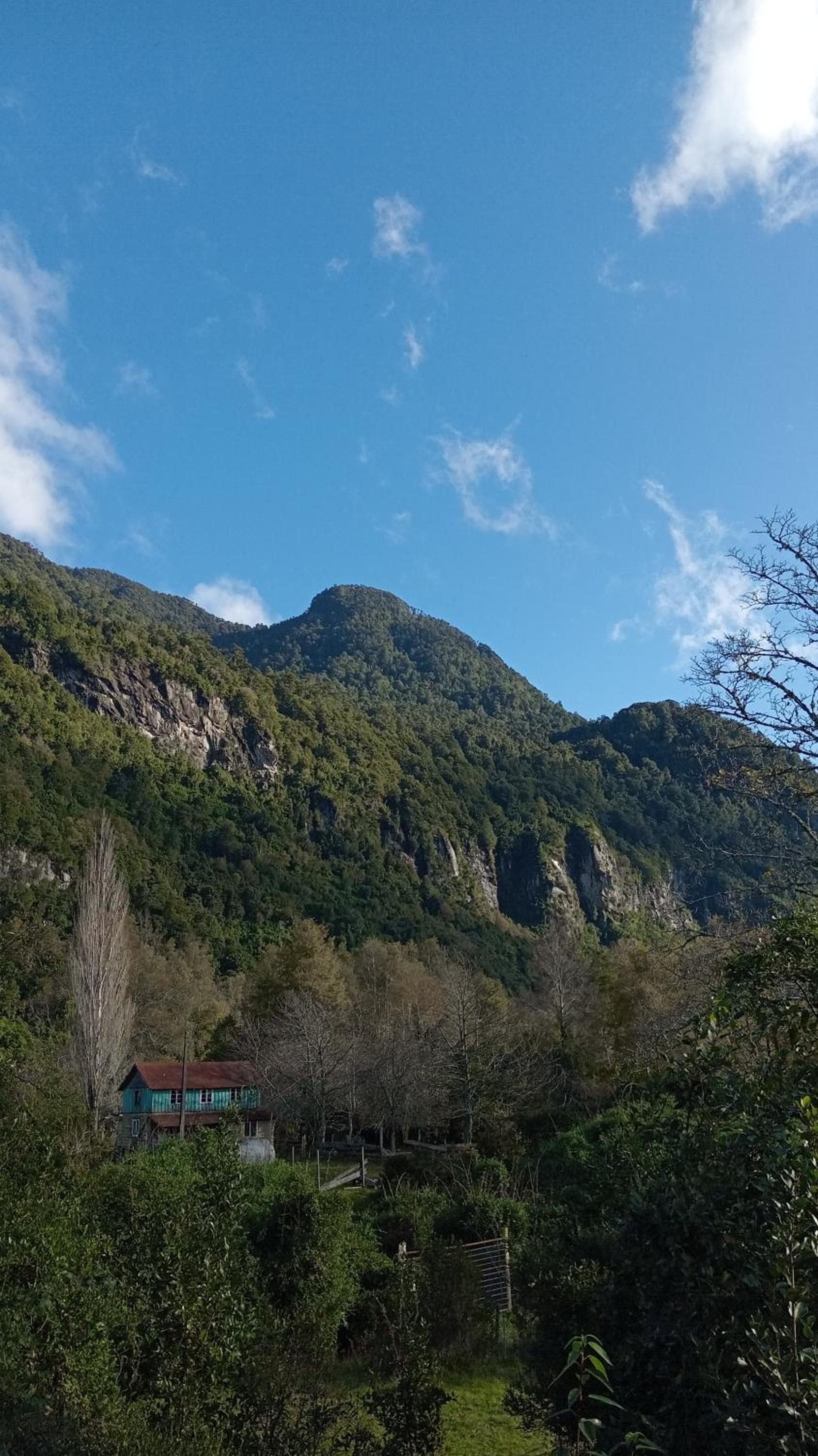 Cabaña Nubes del Ranco