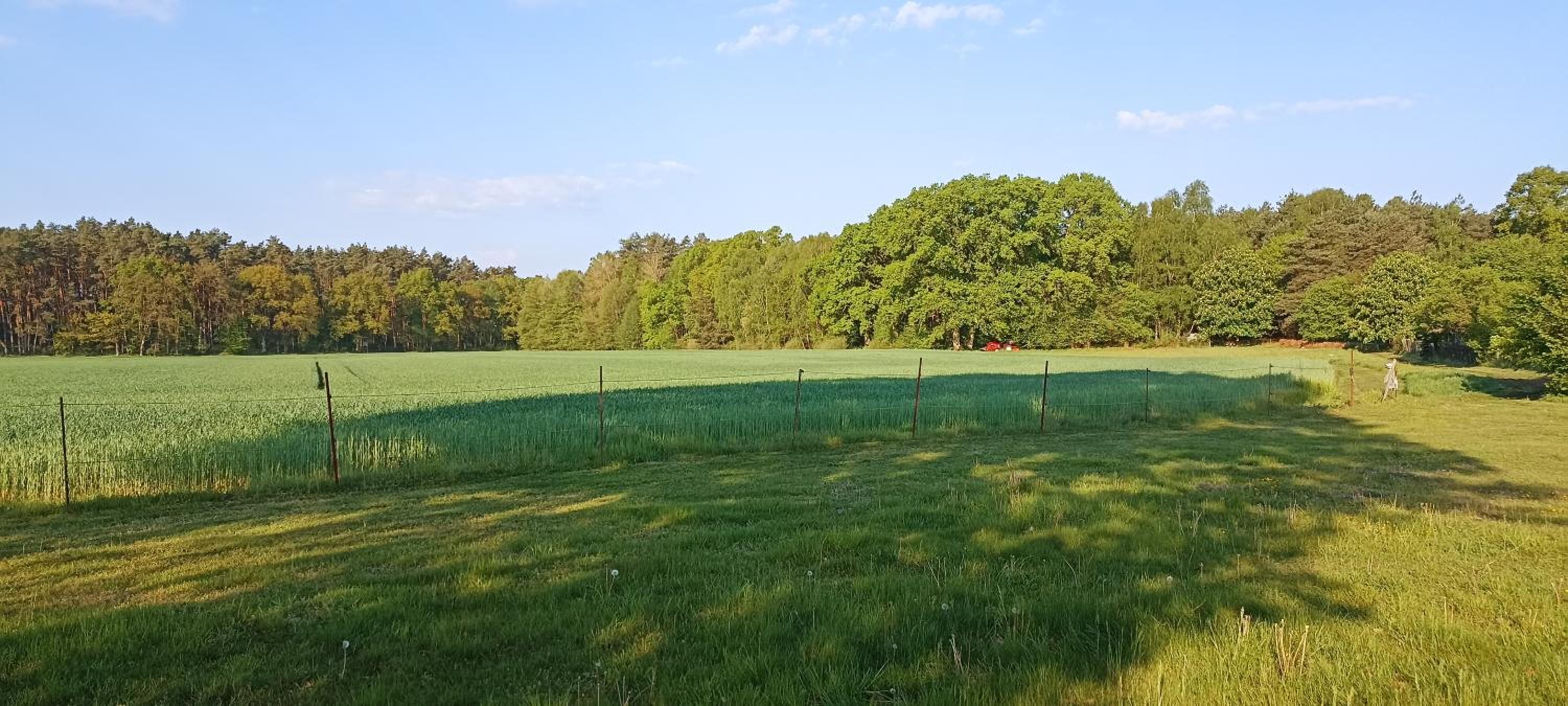 Gemütliche Wohnung am Wald