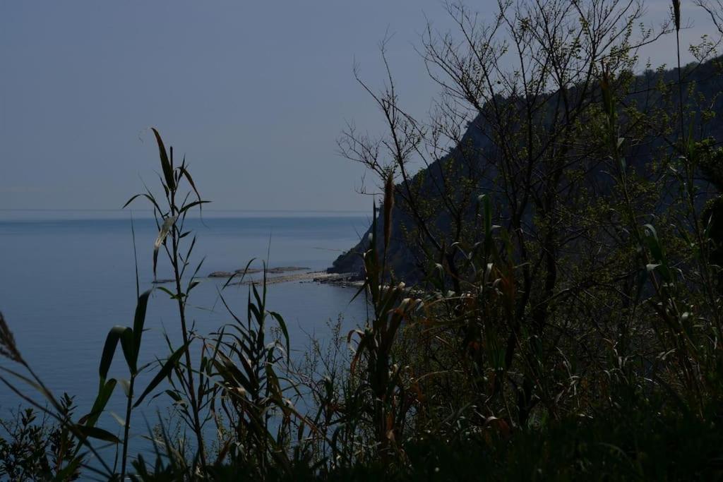 Photo 44