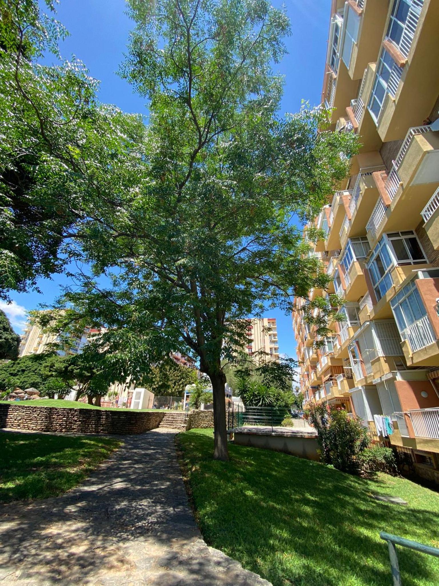 Apt céntrico con vistas y piscinas