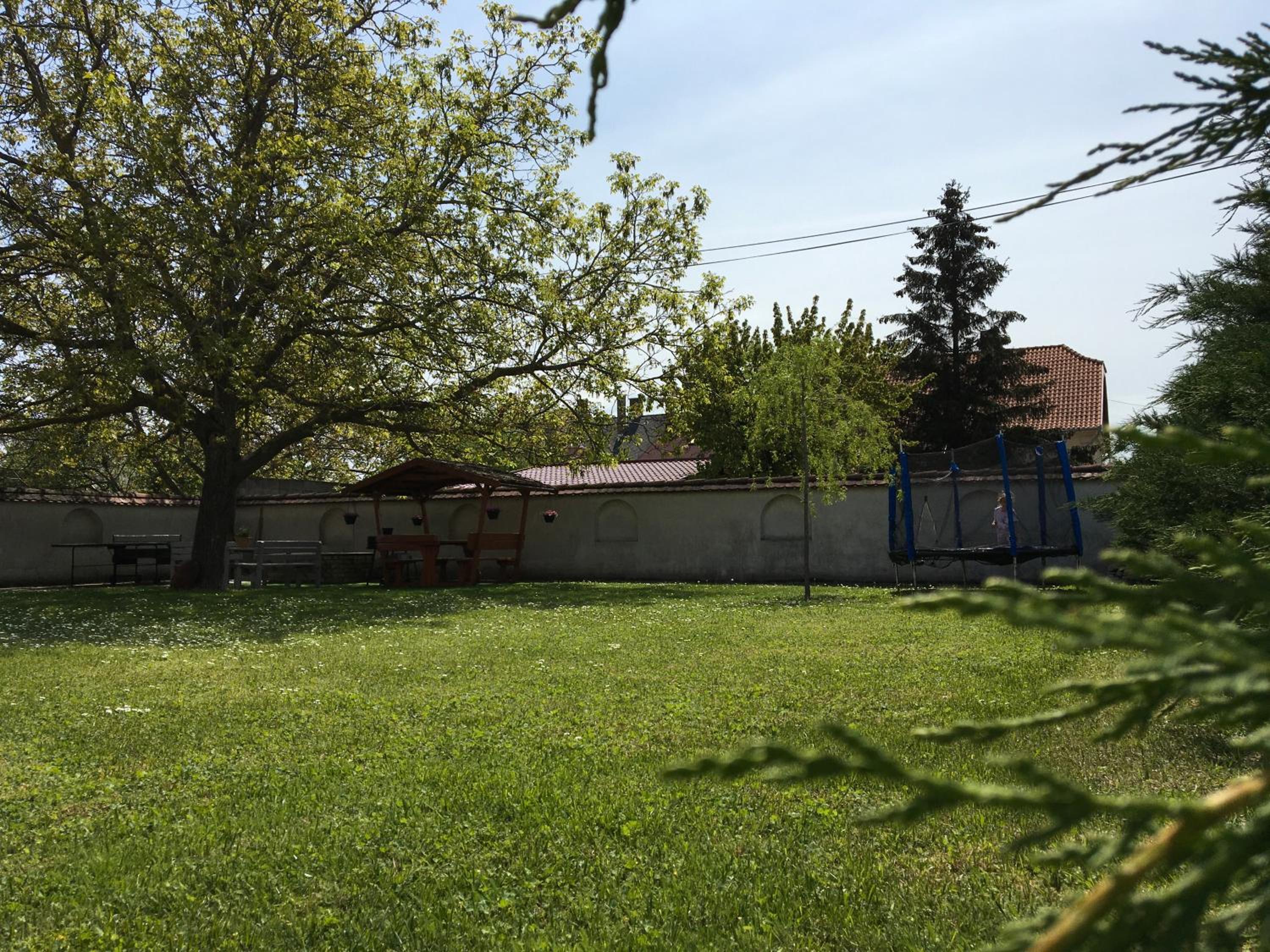 Photo 11
