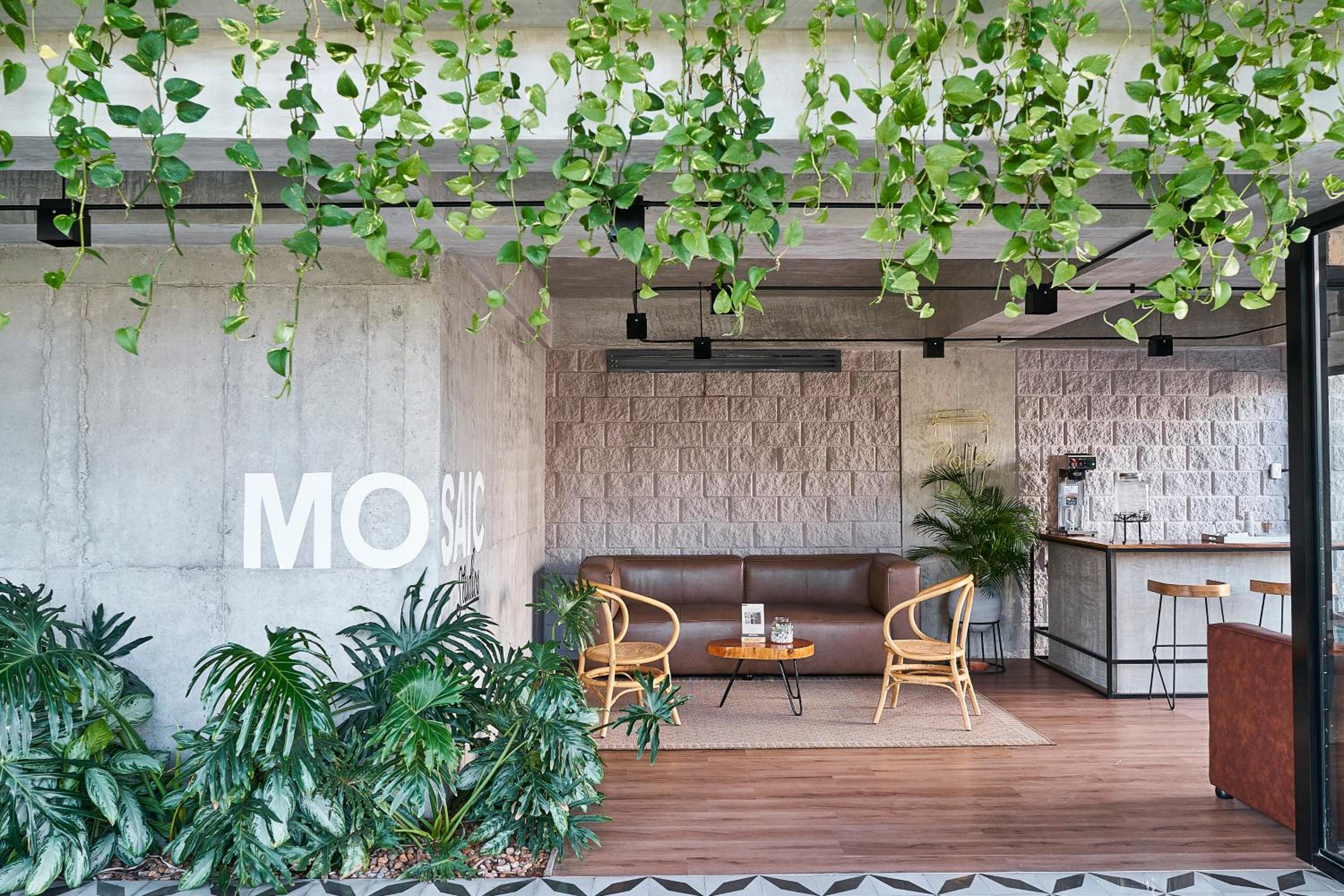 Mosaic Studios Buenavista
