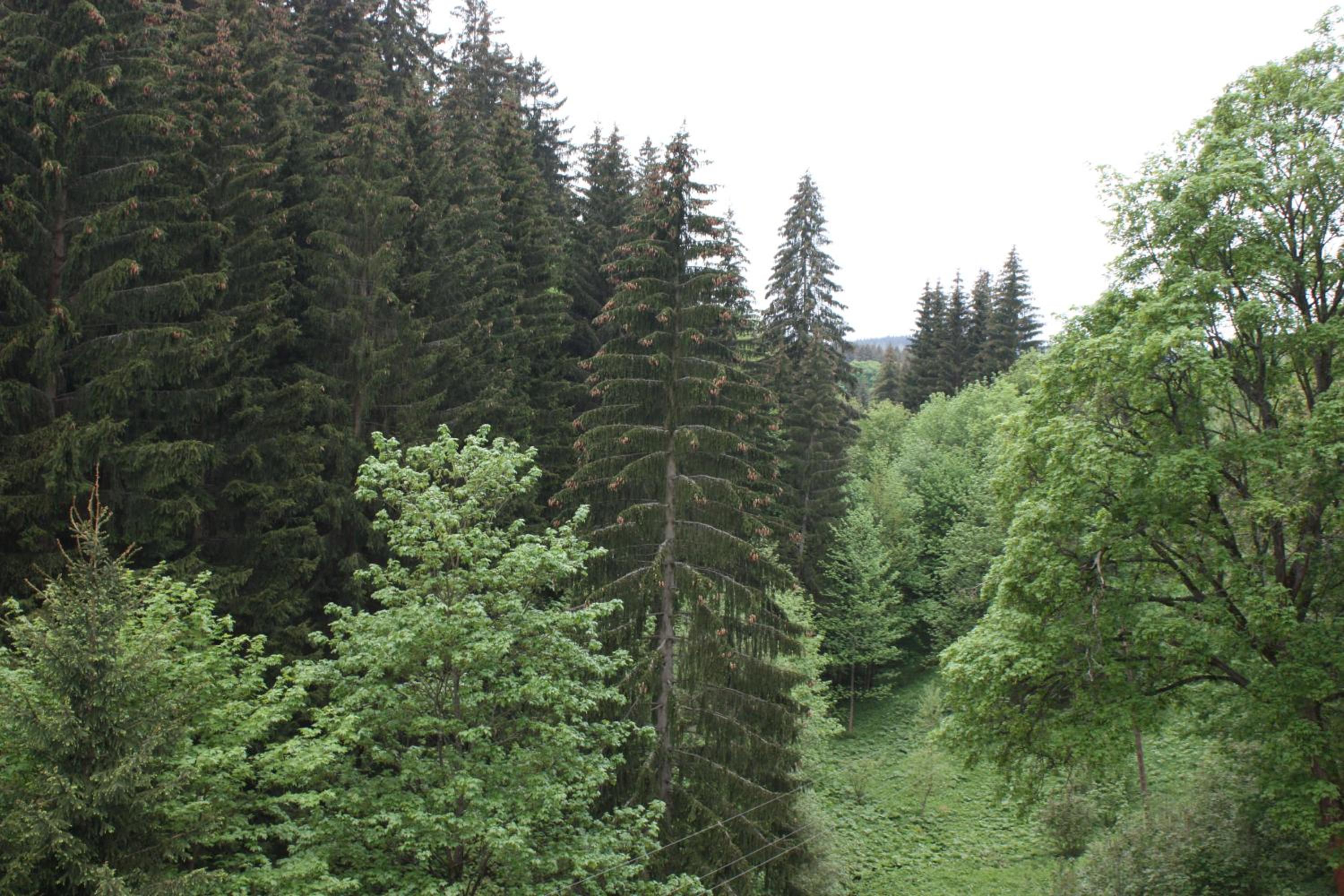 Hillpark Krkonoše