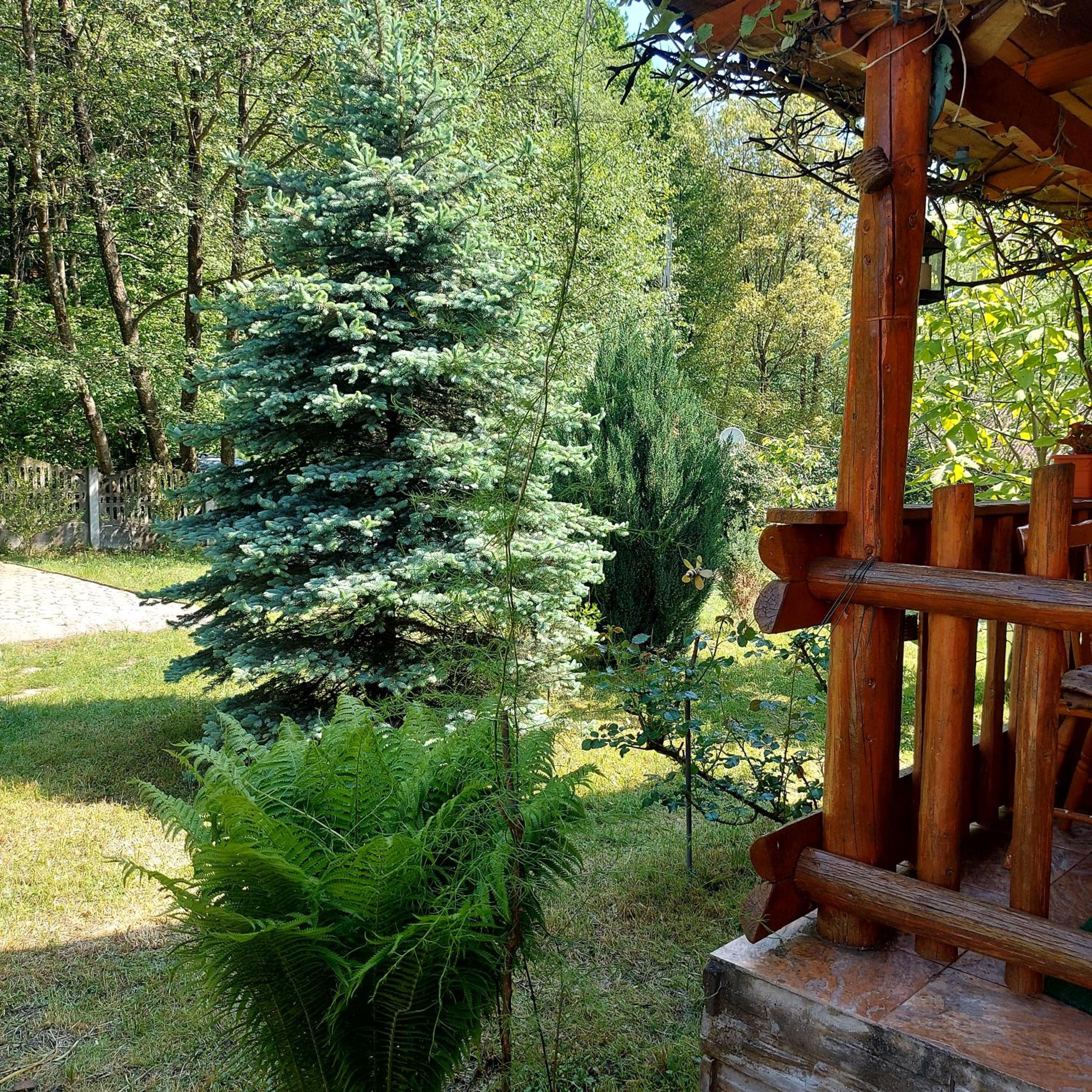 Photo 28