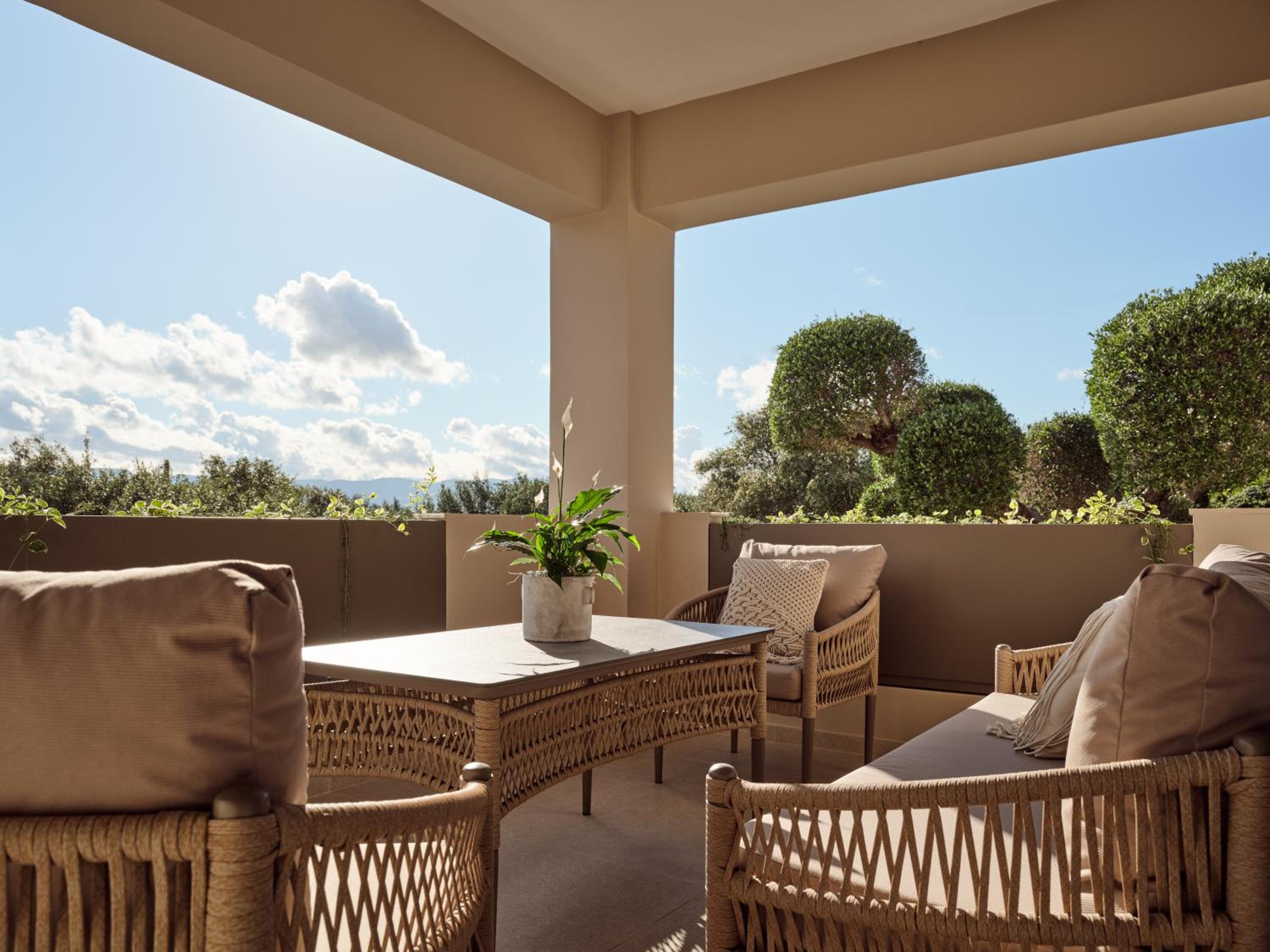 balance & terrace