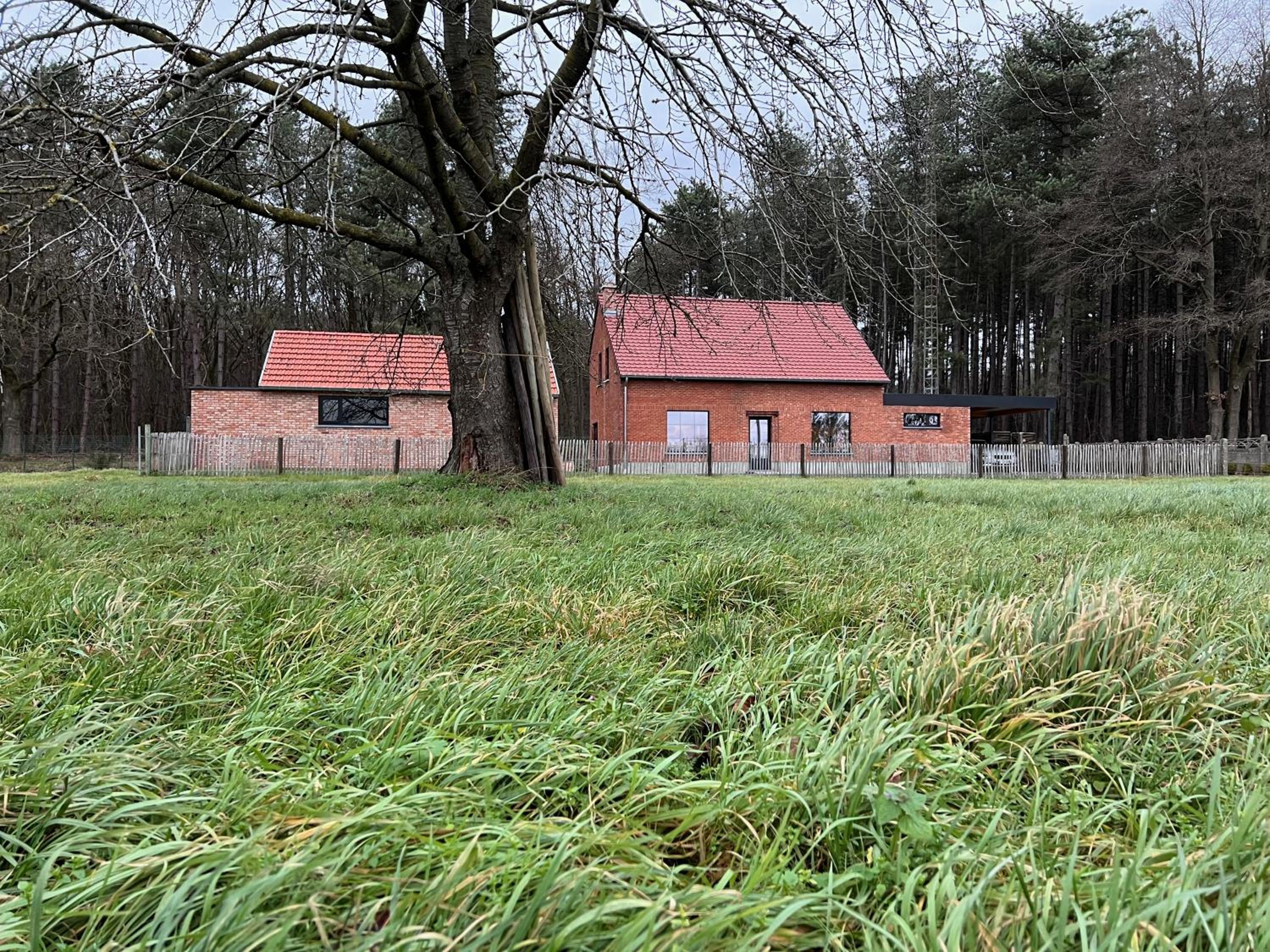 De Bovenbuur