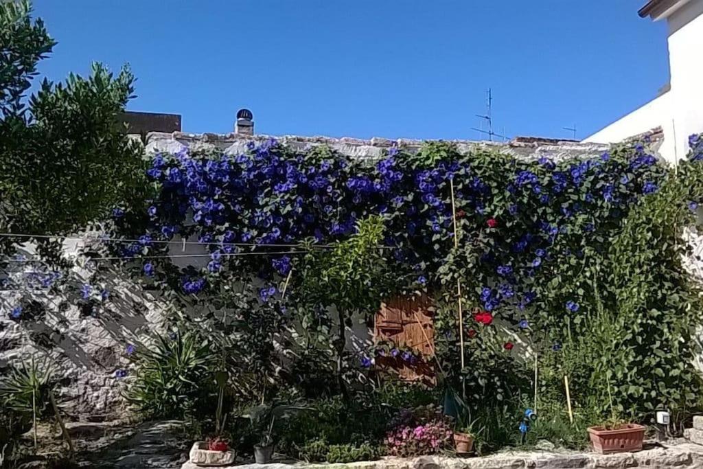 Traditional house Zia Dina view 3