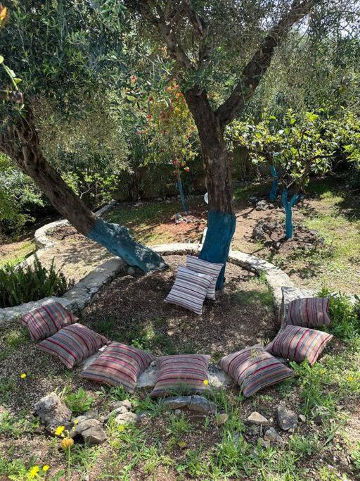 Mount Minis - Casa Bruno