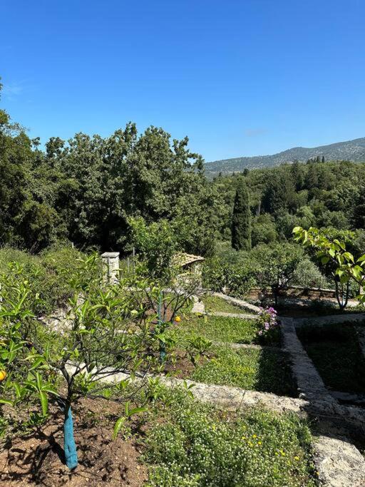 Mount Minis - Casa Bruno