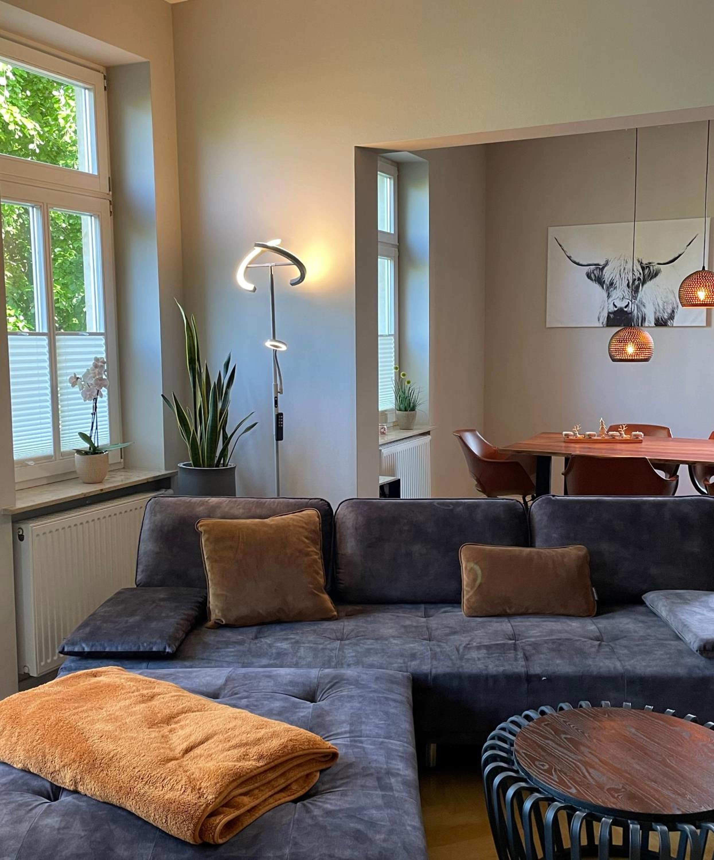 Helle Terrassenwohnung in Traumlage von Dresden view 4