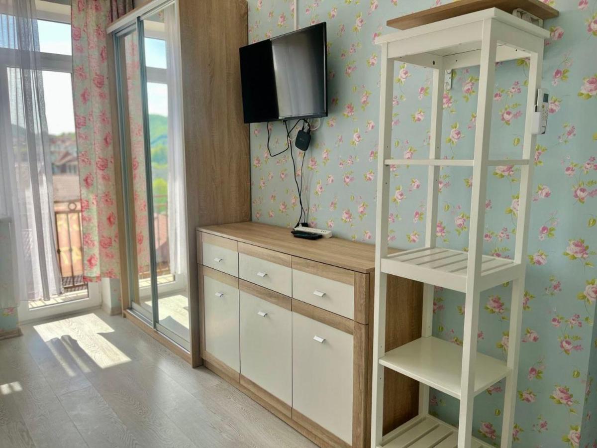 Apartments in Varosh Carpathians view 3