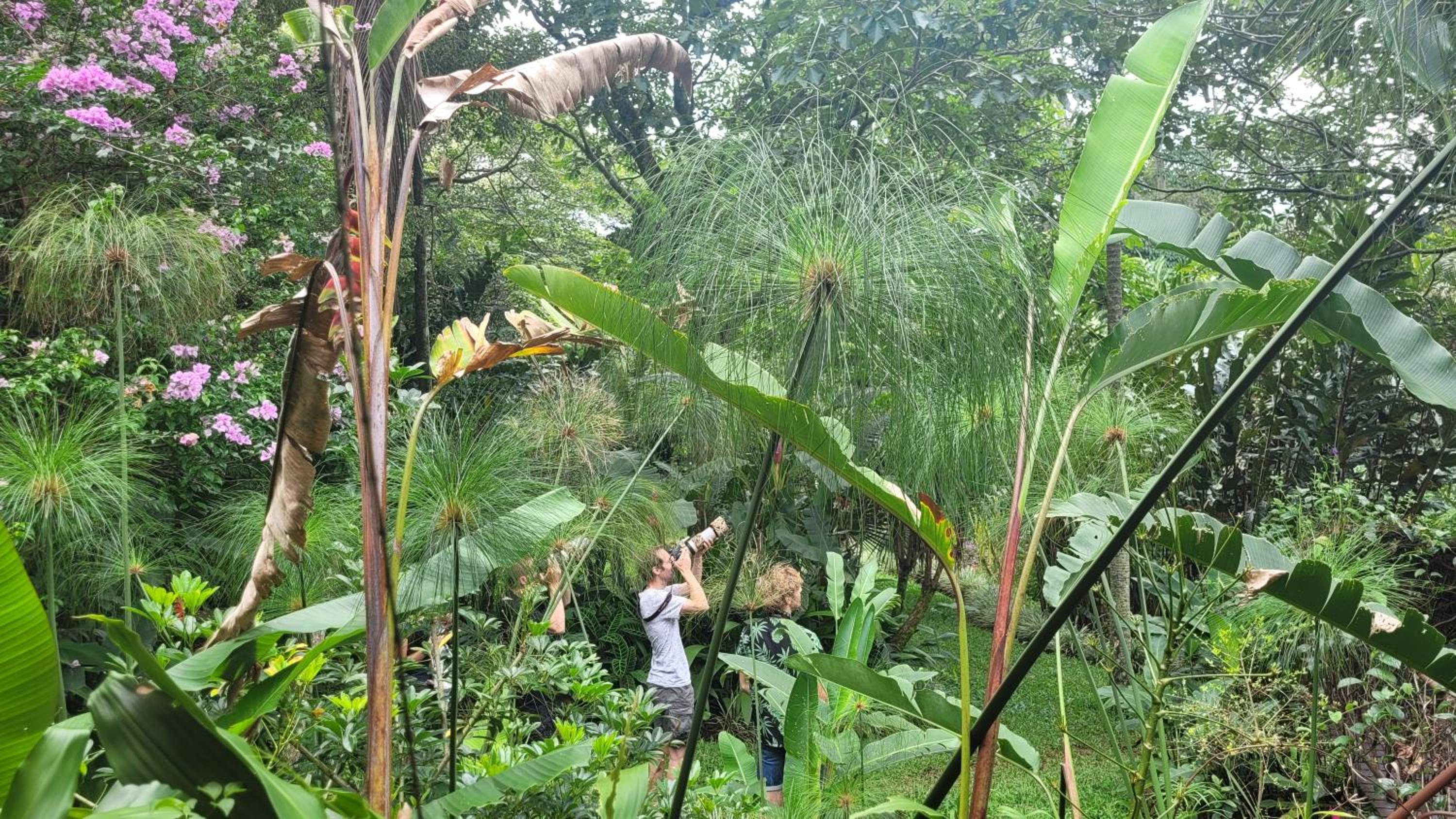 Tacacori EcoLodge