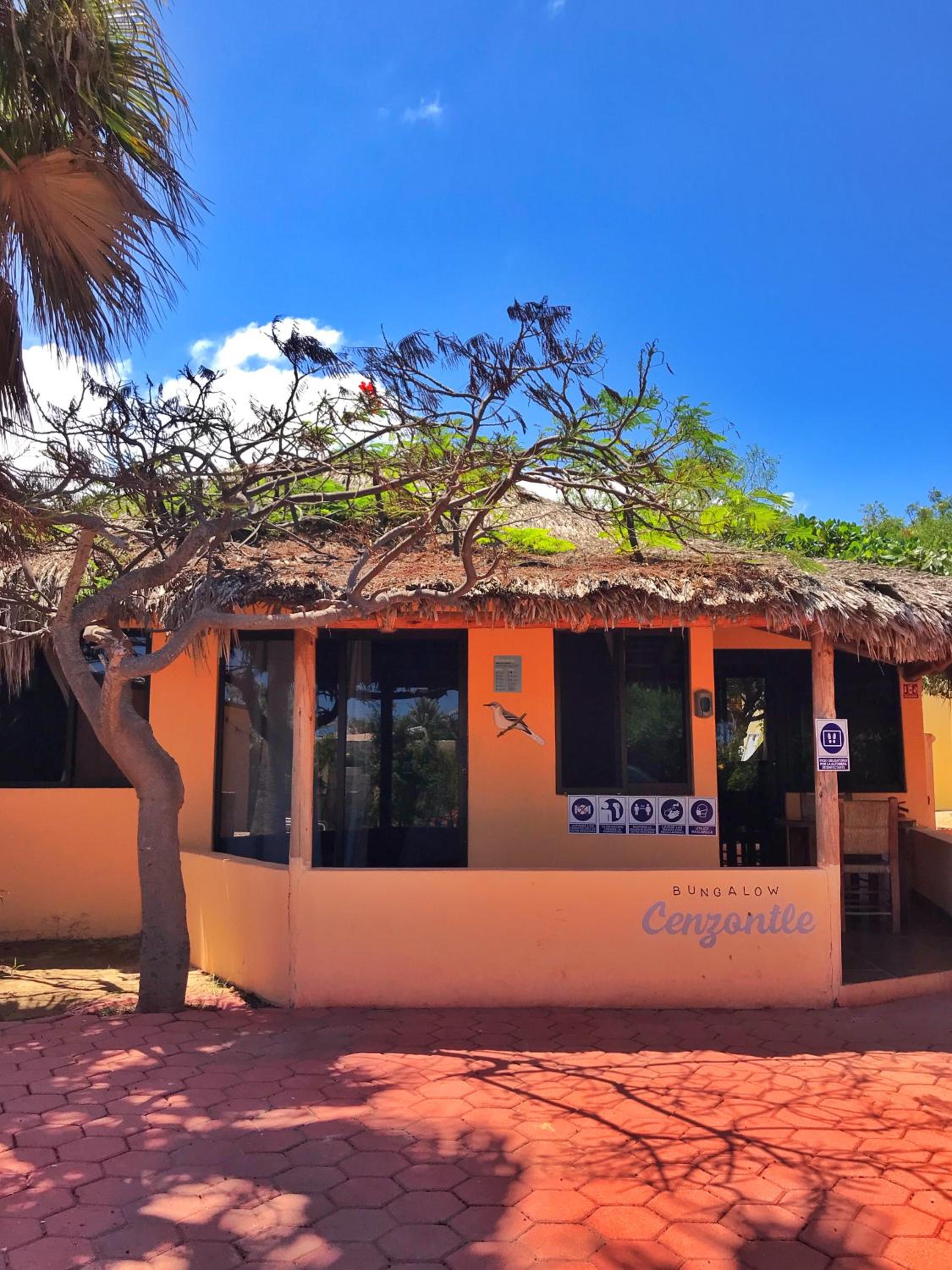 Bungalows Cabo Pulmo