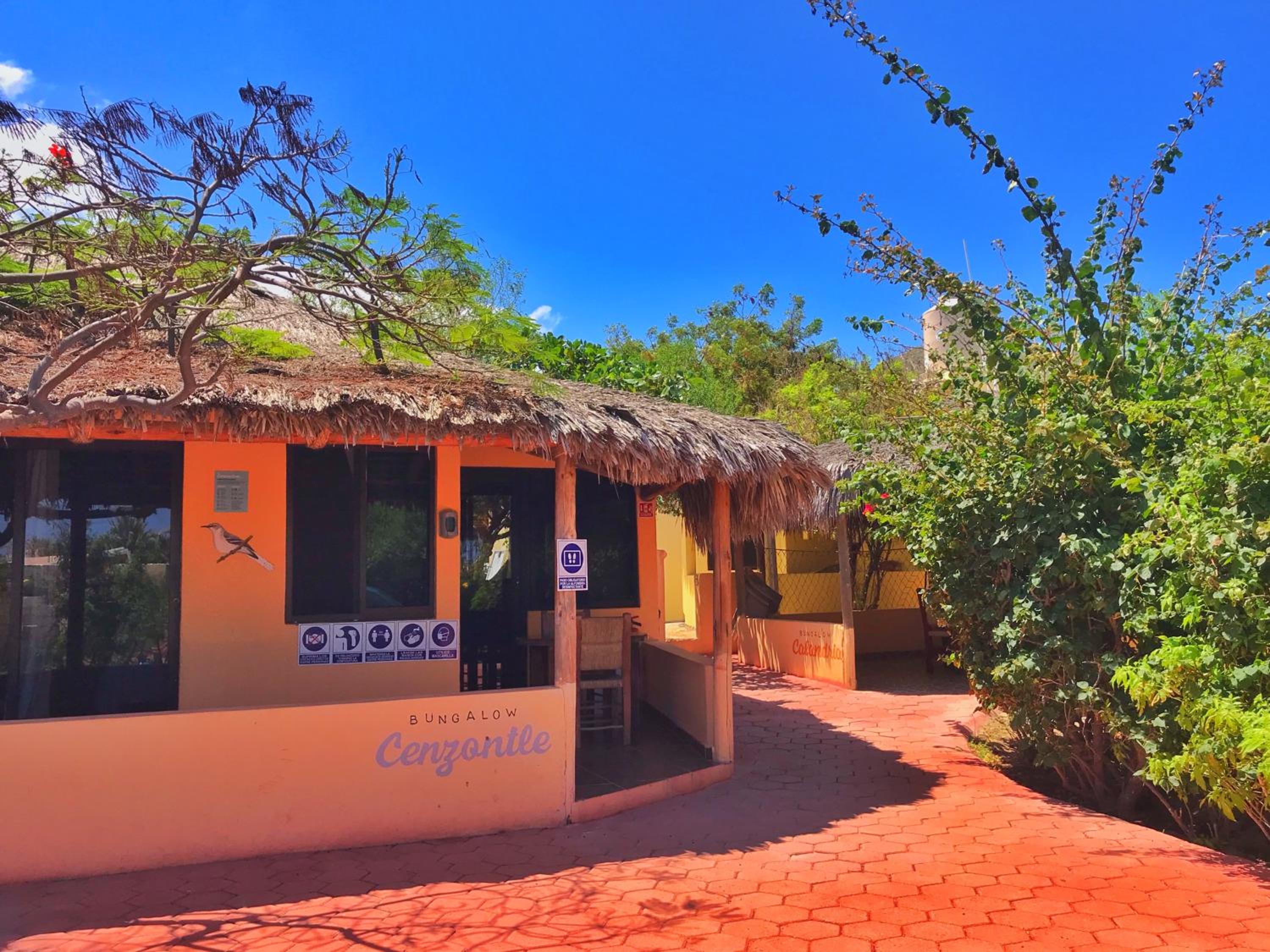 Bungalows Cabo Pulmo