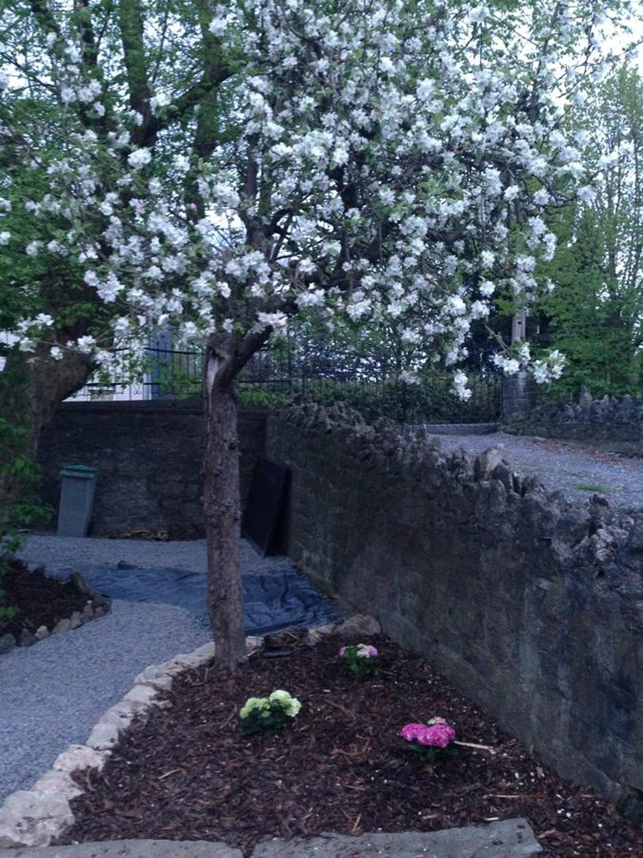 B&B Le Notaire