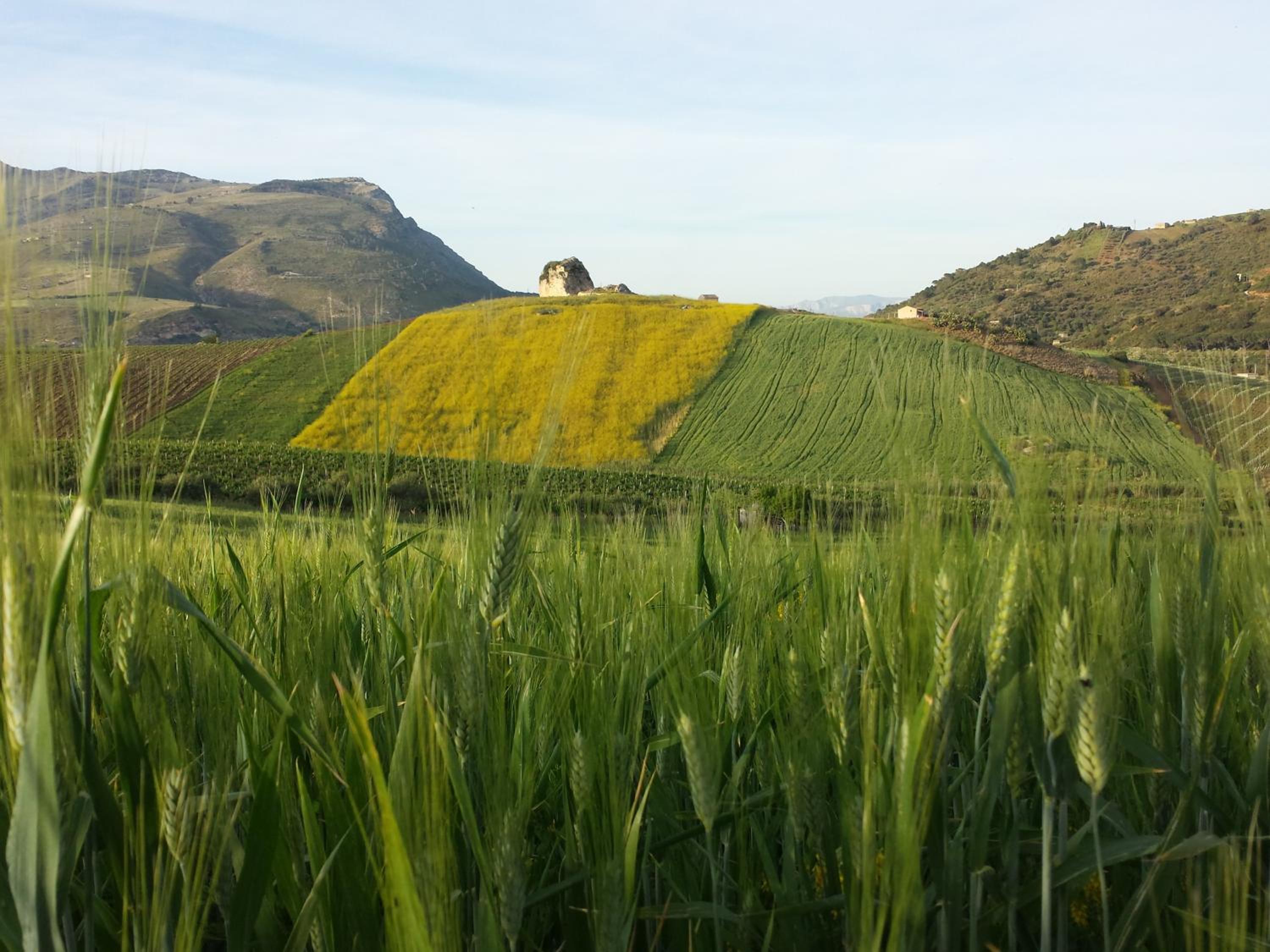 La Suite Di Segesta